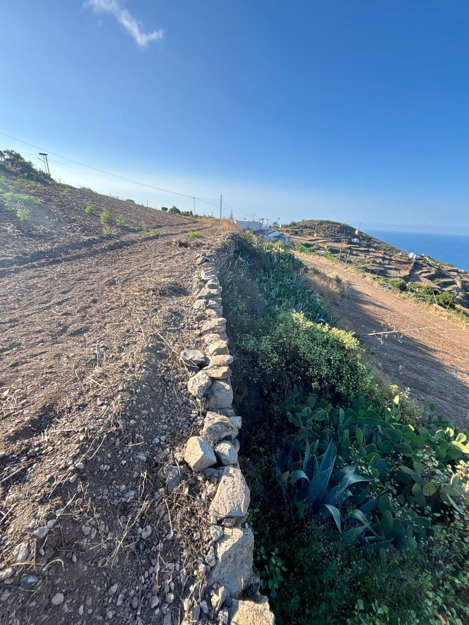 Casas o chalets-Venta-Santa MarÃ­a de GuÃ­a de Gran Canaria-2415407-Foto-50