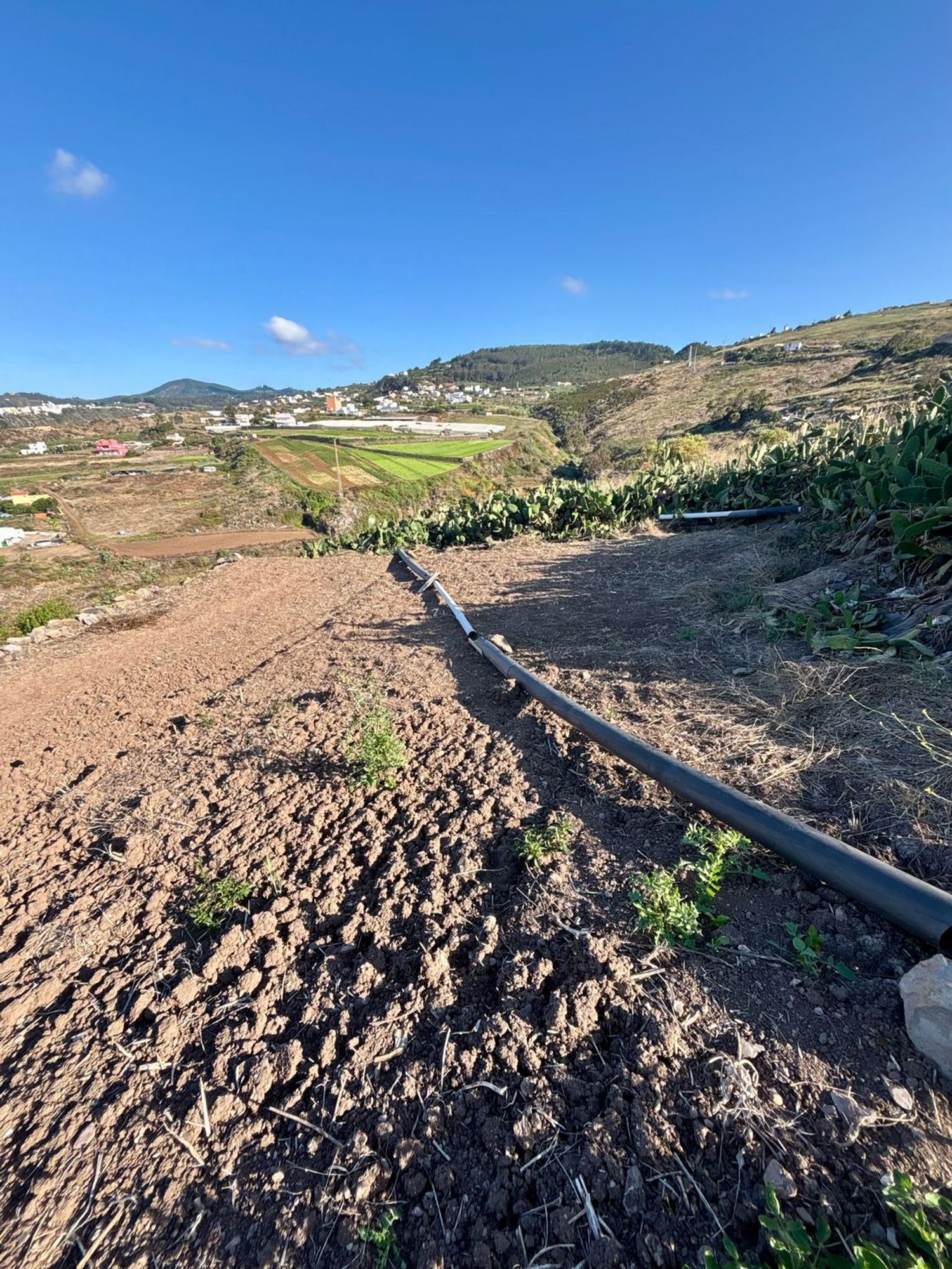 Casas o chalets-Venta-Santa MarÃ­a de GuÃ­a de Gran Canaria-2415407-Foto-52