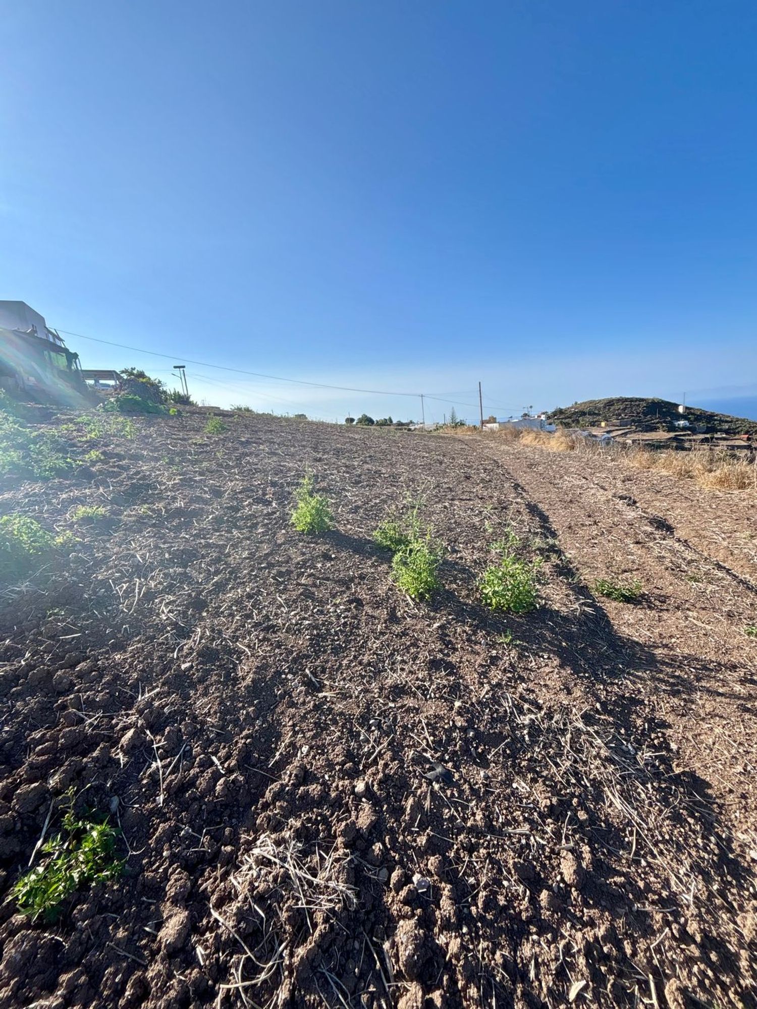 Casas o chalets-Venta-Santa MarÃ­a de GuÃ­a de Gran Canaria-2415407-Foto-55