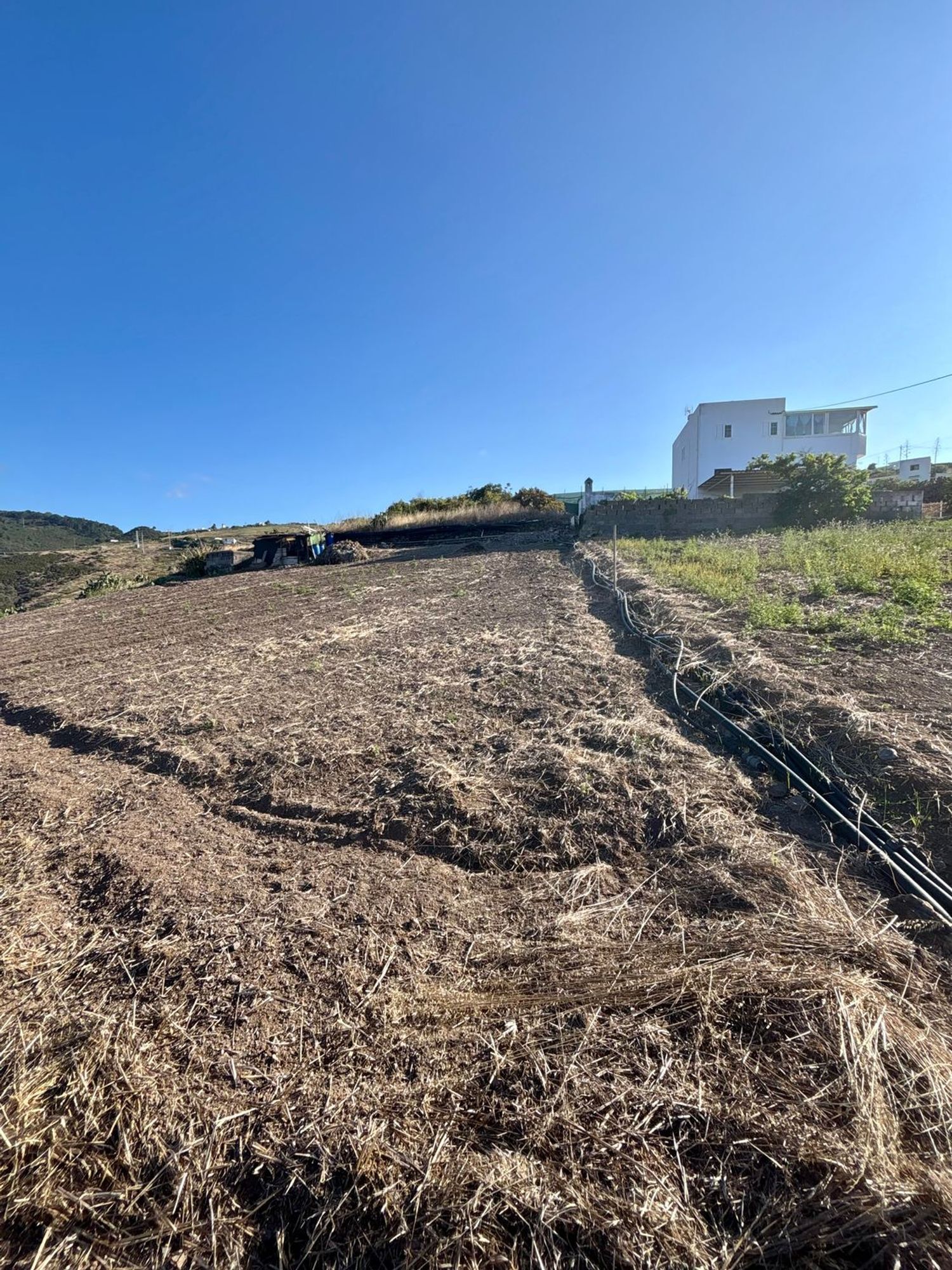Casas o chalets-Venta-Santa MarÃ­a de GuÃ­a de Gran Canaria-2415407-Foto-56