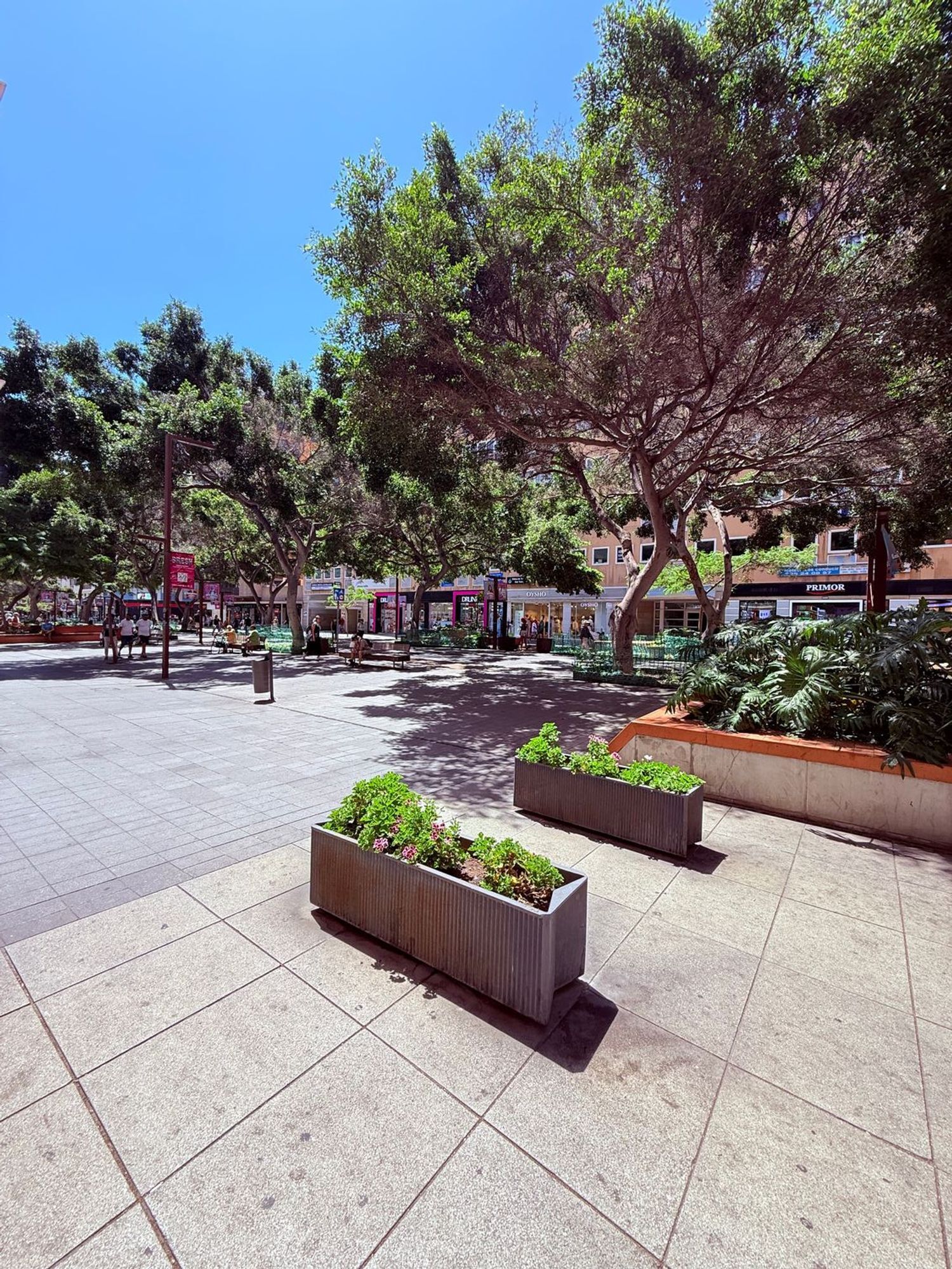 Pisos-Alquiler-Las Palmas de Gran Canaria-2412509-Foto-28