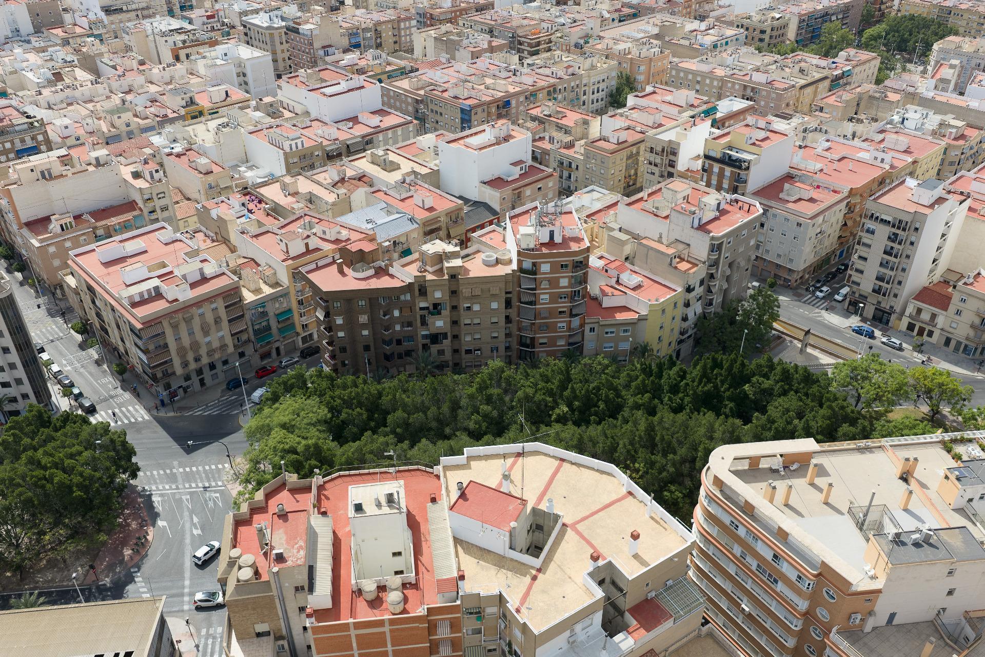 Pisos-Venta-Elche-2412422-Foto-30