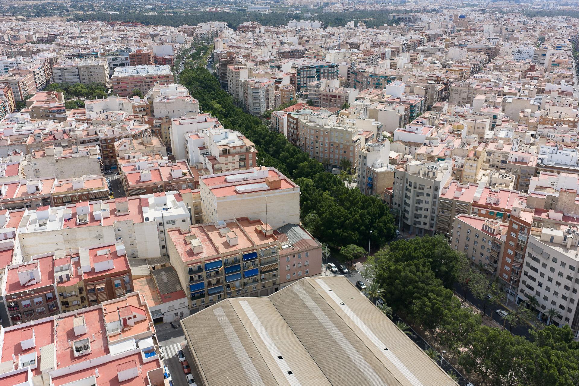 Pisos-Venta-Elche-2412422-Foto-29