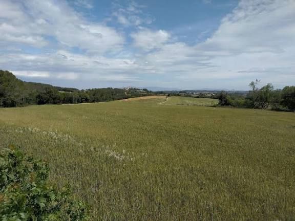 Casas o chalets-Venta-BÃ scara-2412860-Foto-21