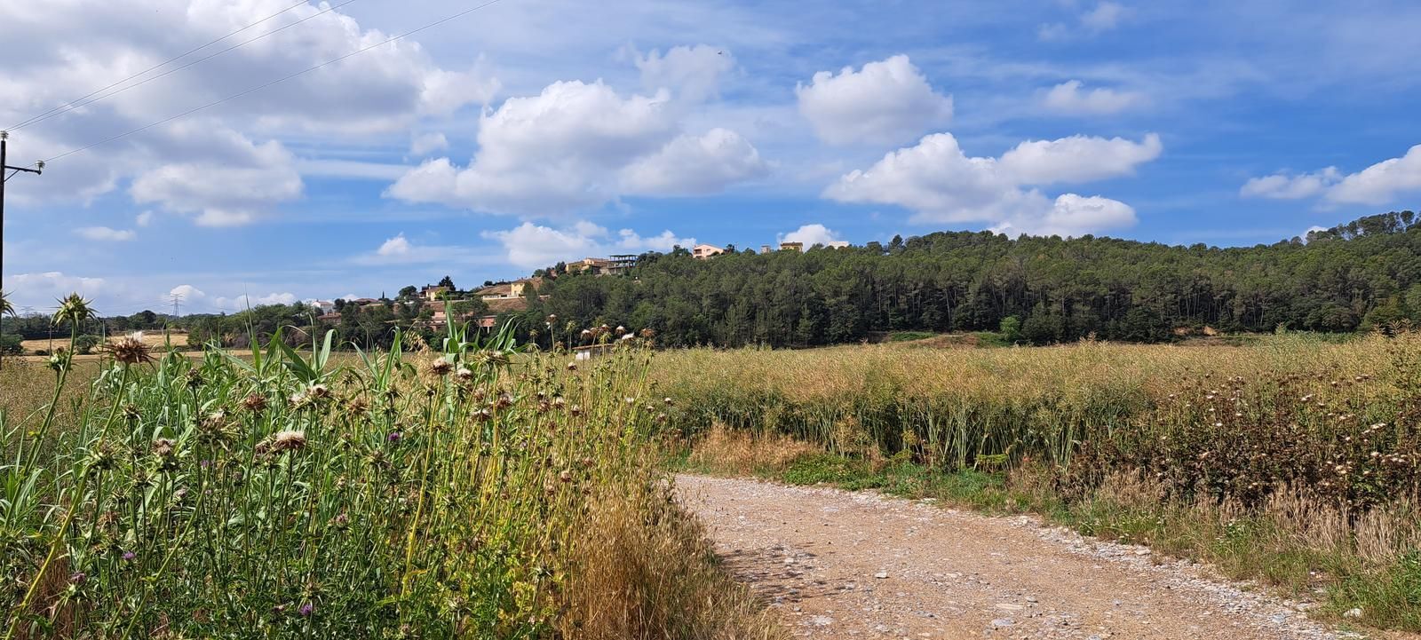 Casas o chalets-Venta-BÃ scara-2412860-Foto-22