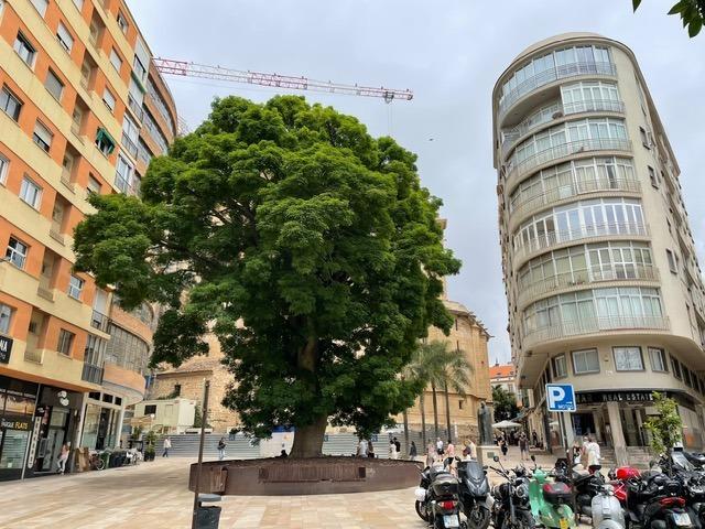 Garaje en venta, Distrito Centro - Centro HistÃ³rico, MÃ¡laga, MÃ¡laga