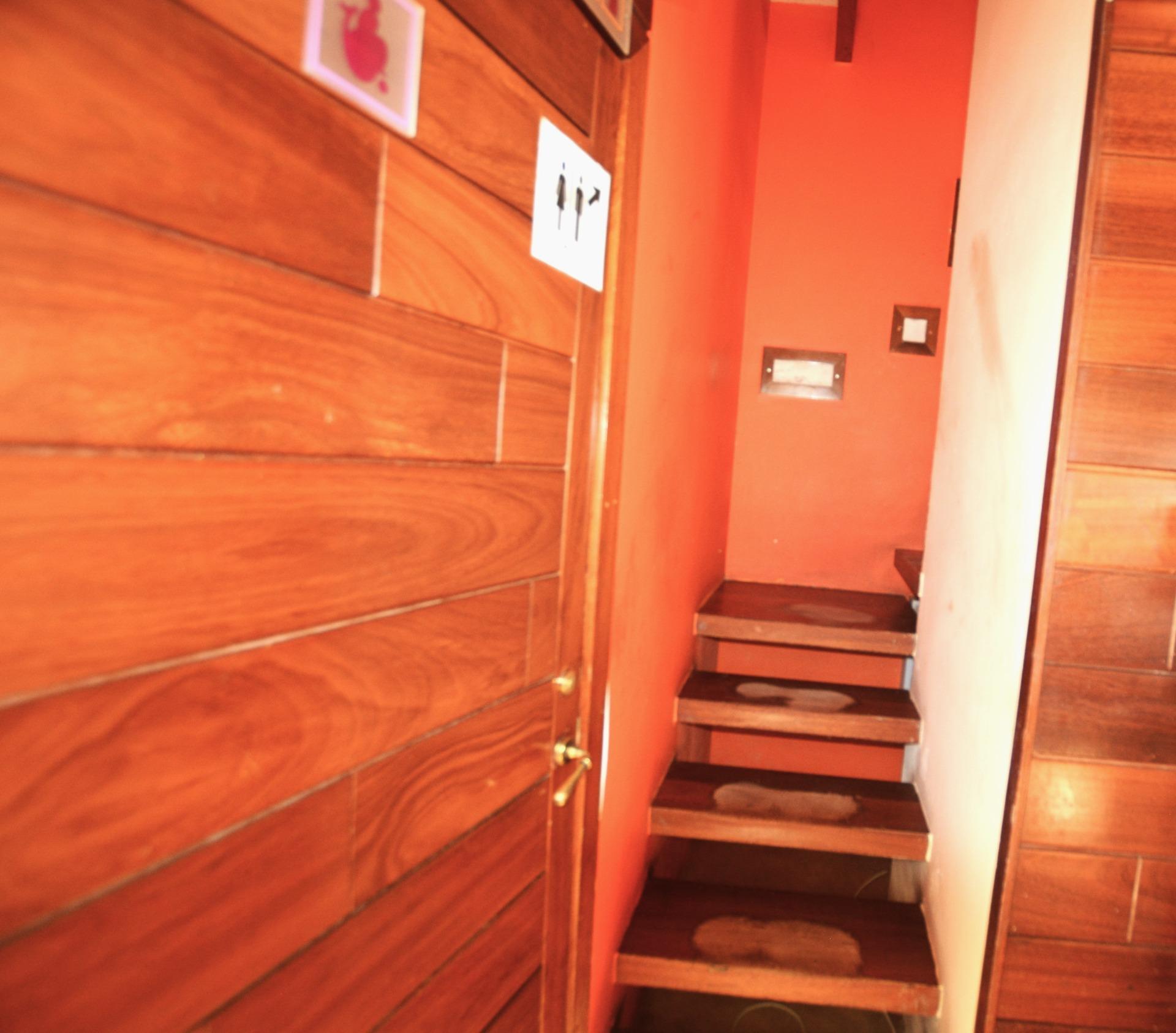 Negocios-Venta-Es Migjorn Gran-2256063-Foto-34