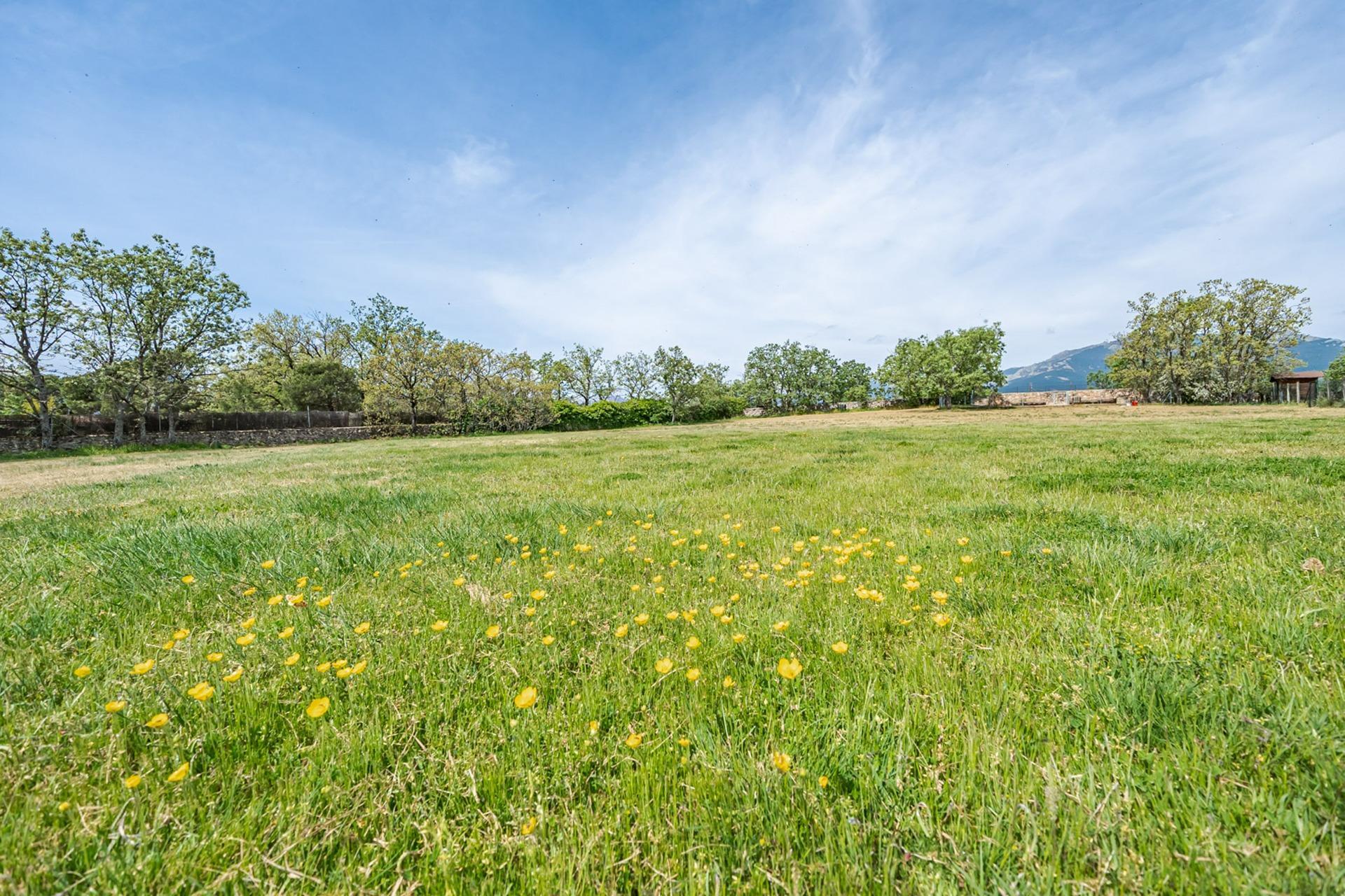 Pisos-Venta-Miraflores de la Sierra-2413409-Foto-77
