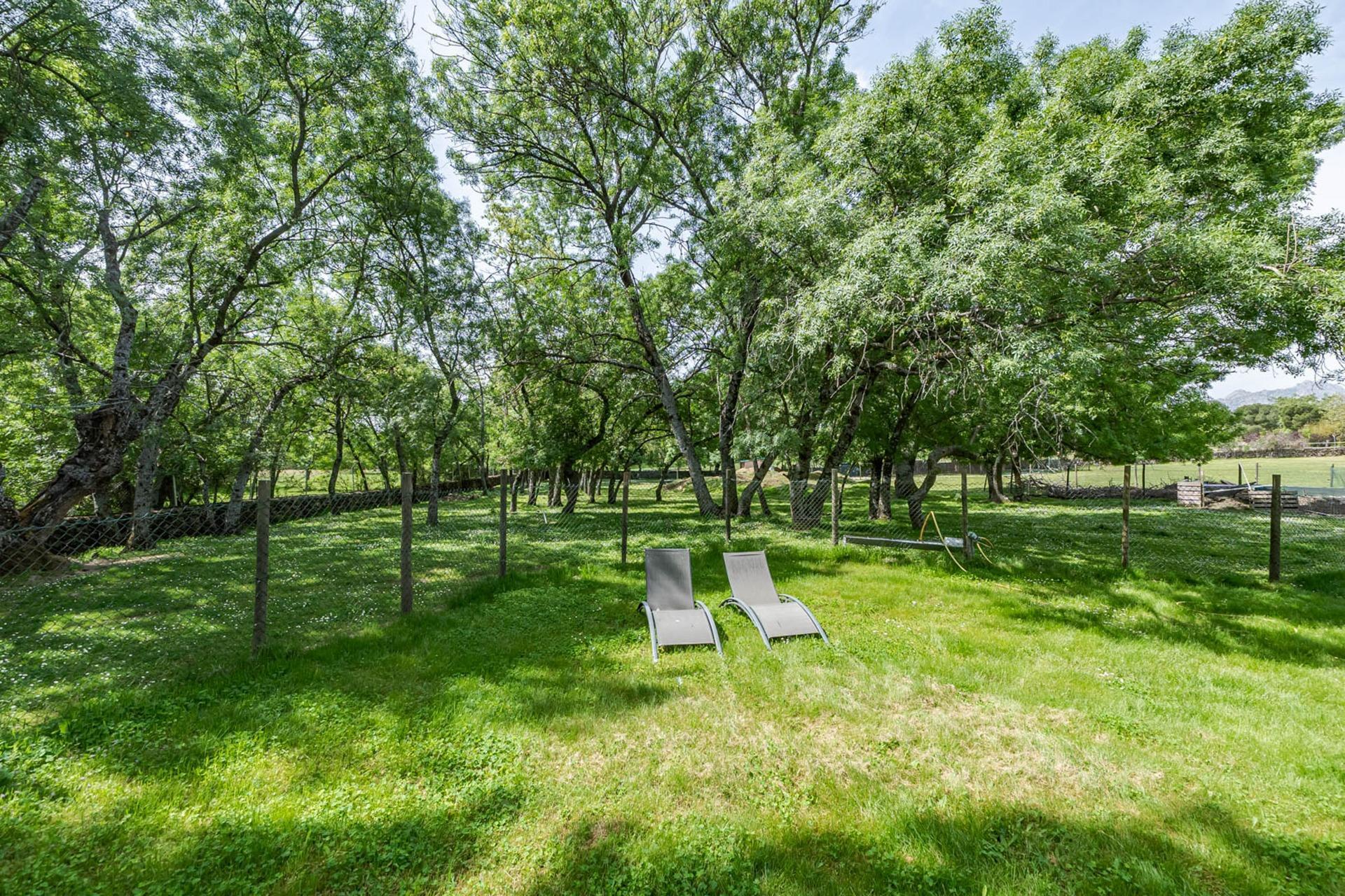 Pisos-Venta-Miraflores de la Sierra-2413409-Foto-88