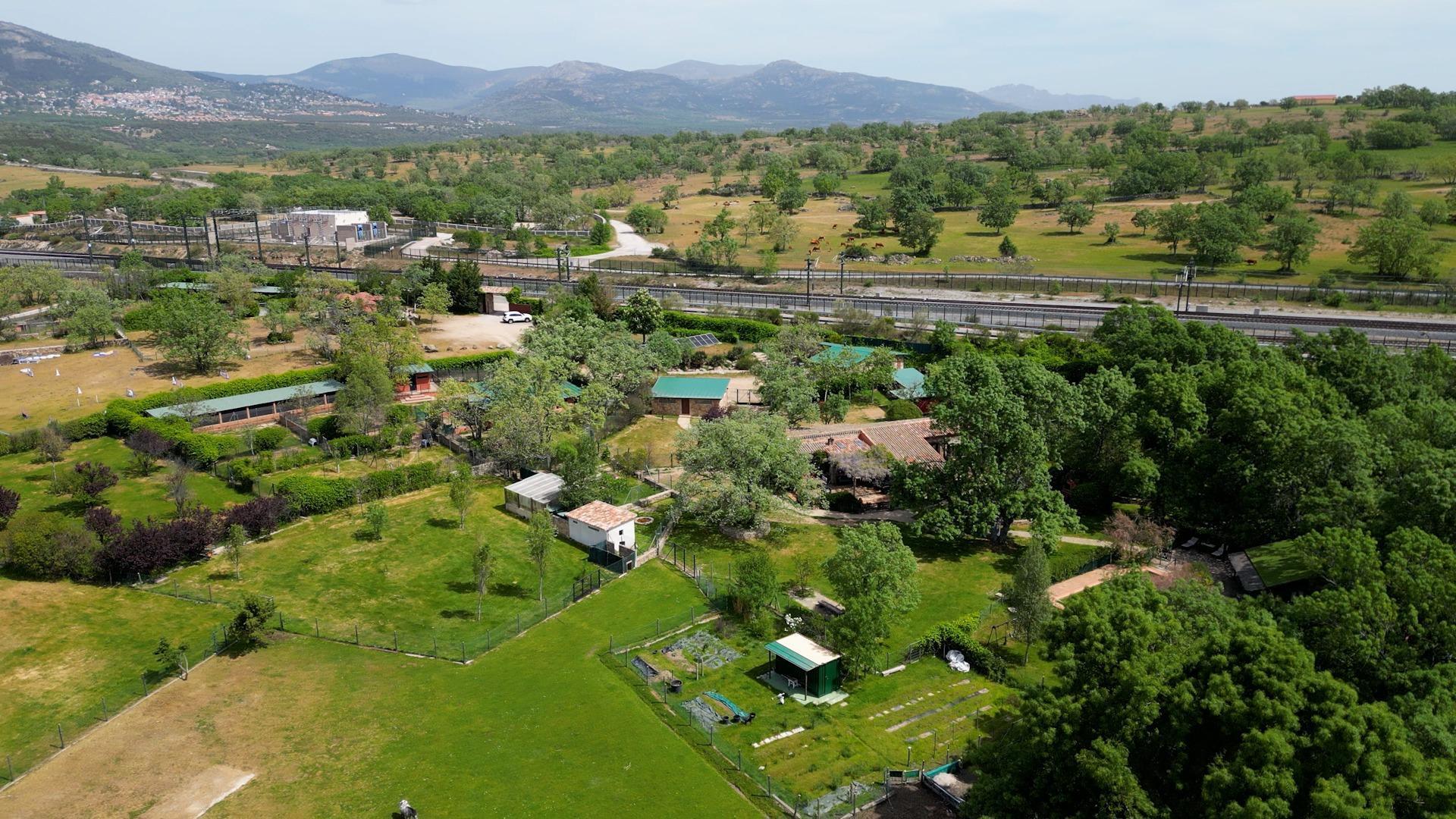 Pisos-Venta-Miraflores de la Sierra-2413409-Foto-94