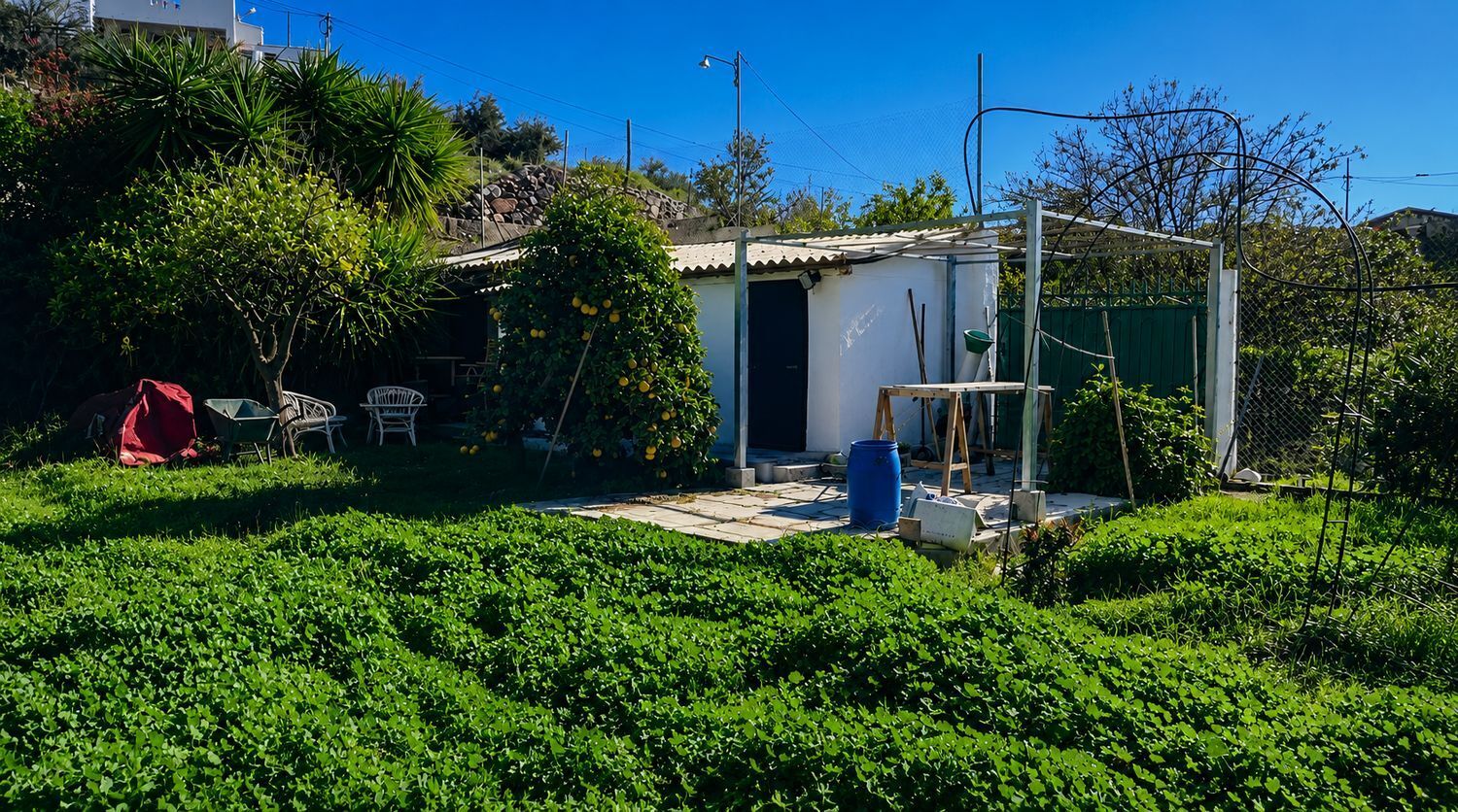 Casas o chalets-Venta-San BartolomÃ© de Tirajana-2416749-Foto-27