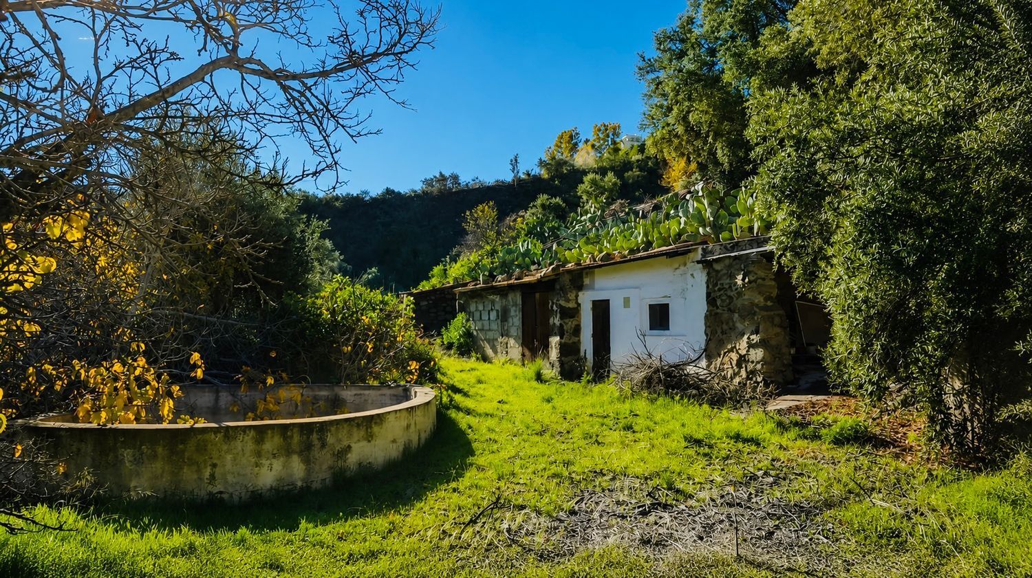 Casas o chalets-Venta-San BartolomÃ© de Tirajana-2416749-Foto-29