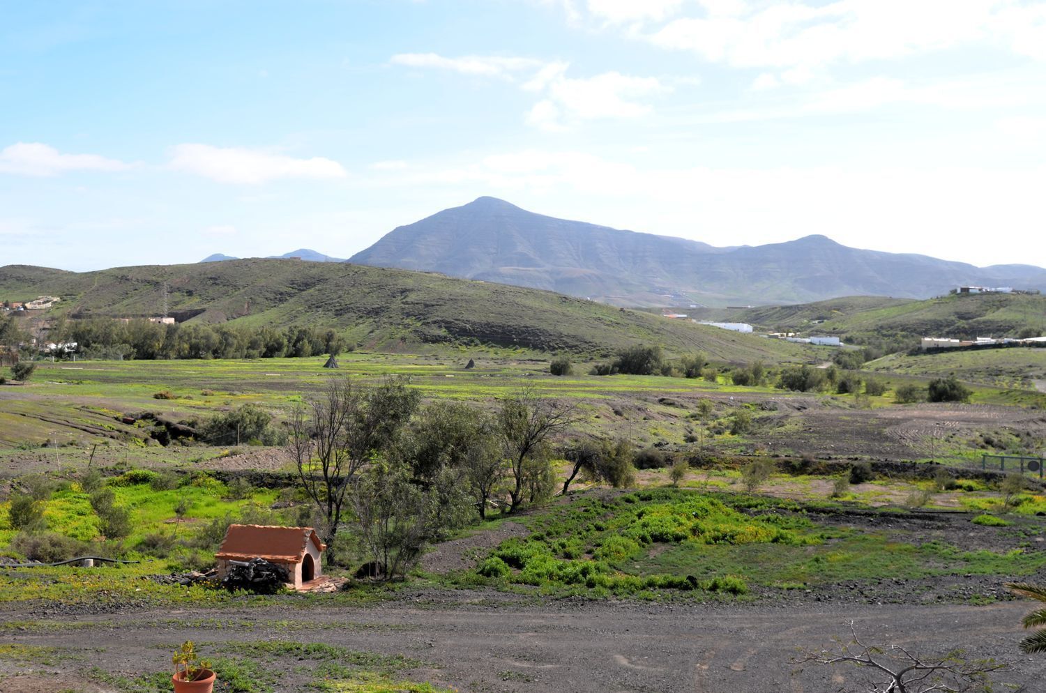 Casas o chalets-Venta-Tuineje-2412737-Foto-36