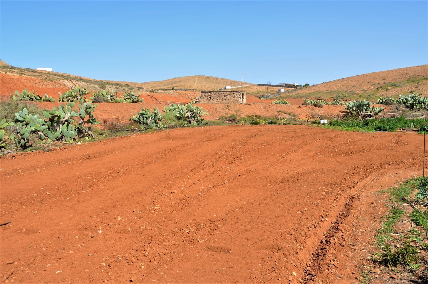Fincas y solares-Venta-La Antigua-2412629-Foto-31
