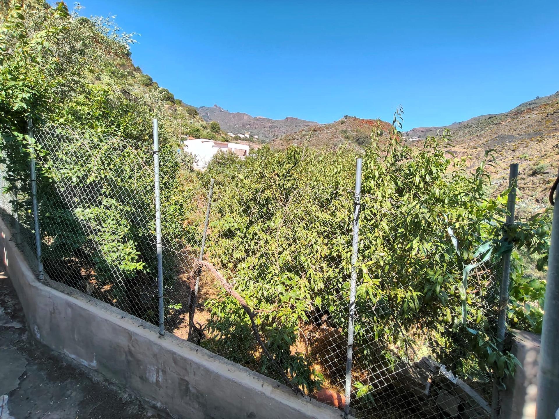 Pisos-Venta-Valsequillo de Gran Canaria-2412554-Foto-3