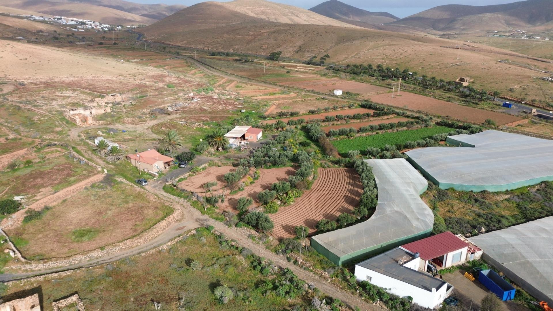 Pisos-Venta-PÃ¡jara-2412596-Foto-26