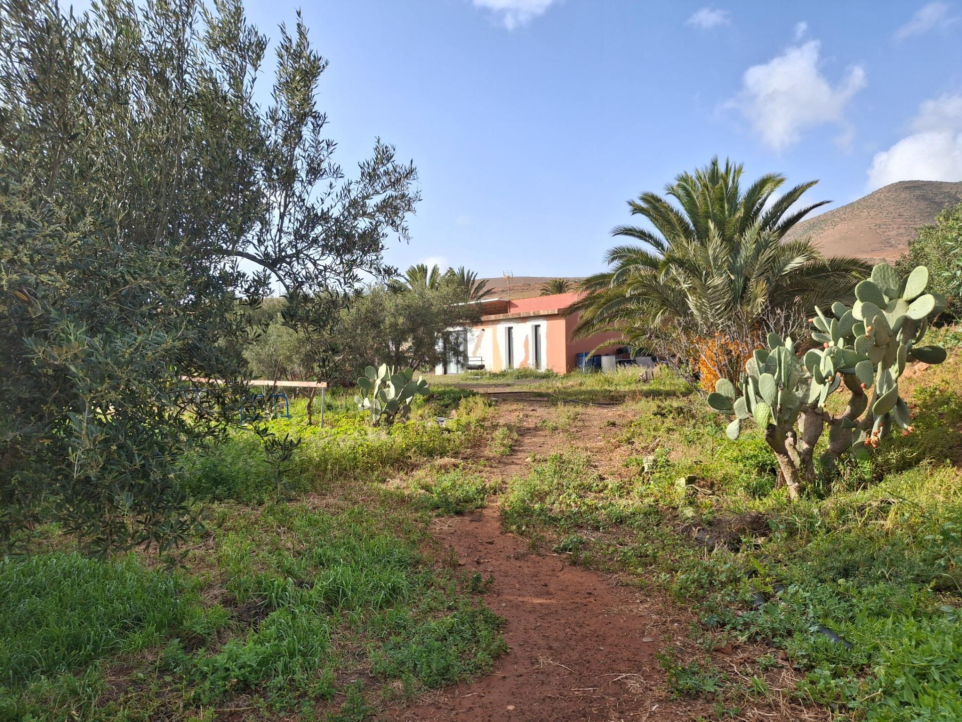 Pisos-Venta-PÃ¡jara-2412596-Foto-27