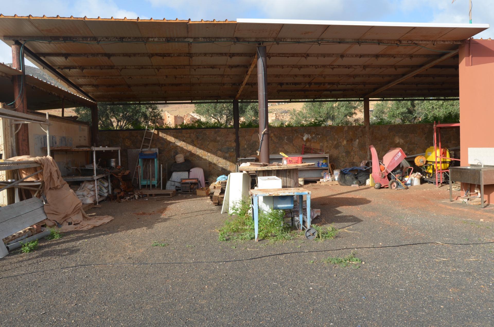Pisos-Venta-PÃ¡jara-2412596-Foto-31