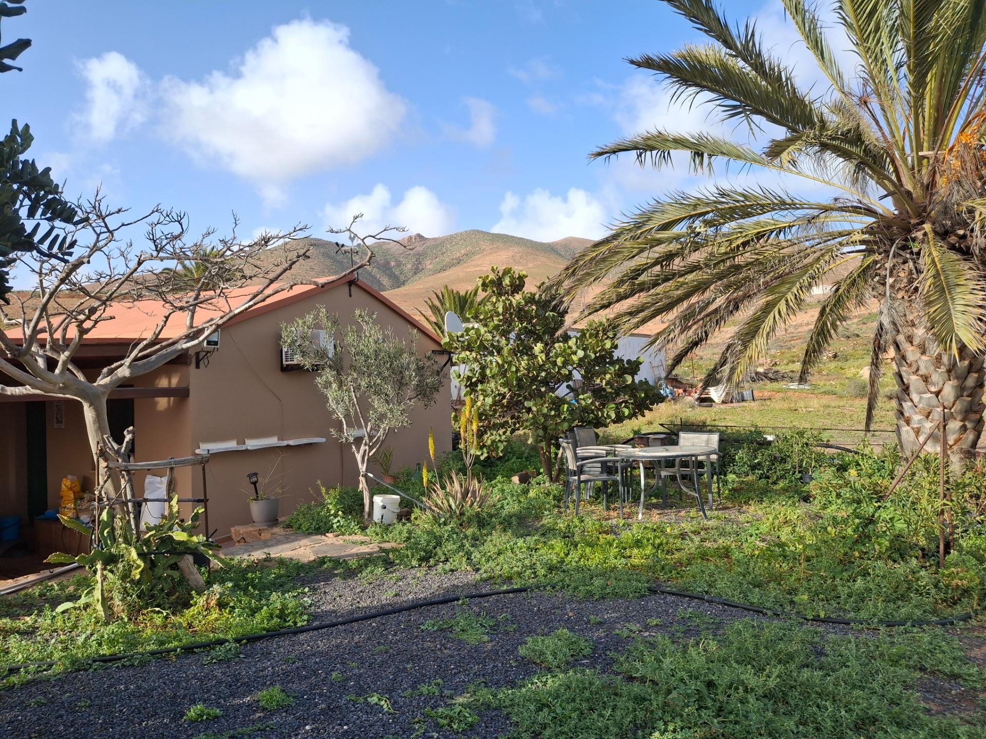 Pisos-Venta-PÃ¡jara-2412596-Foto-28