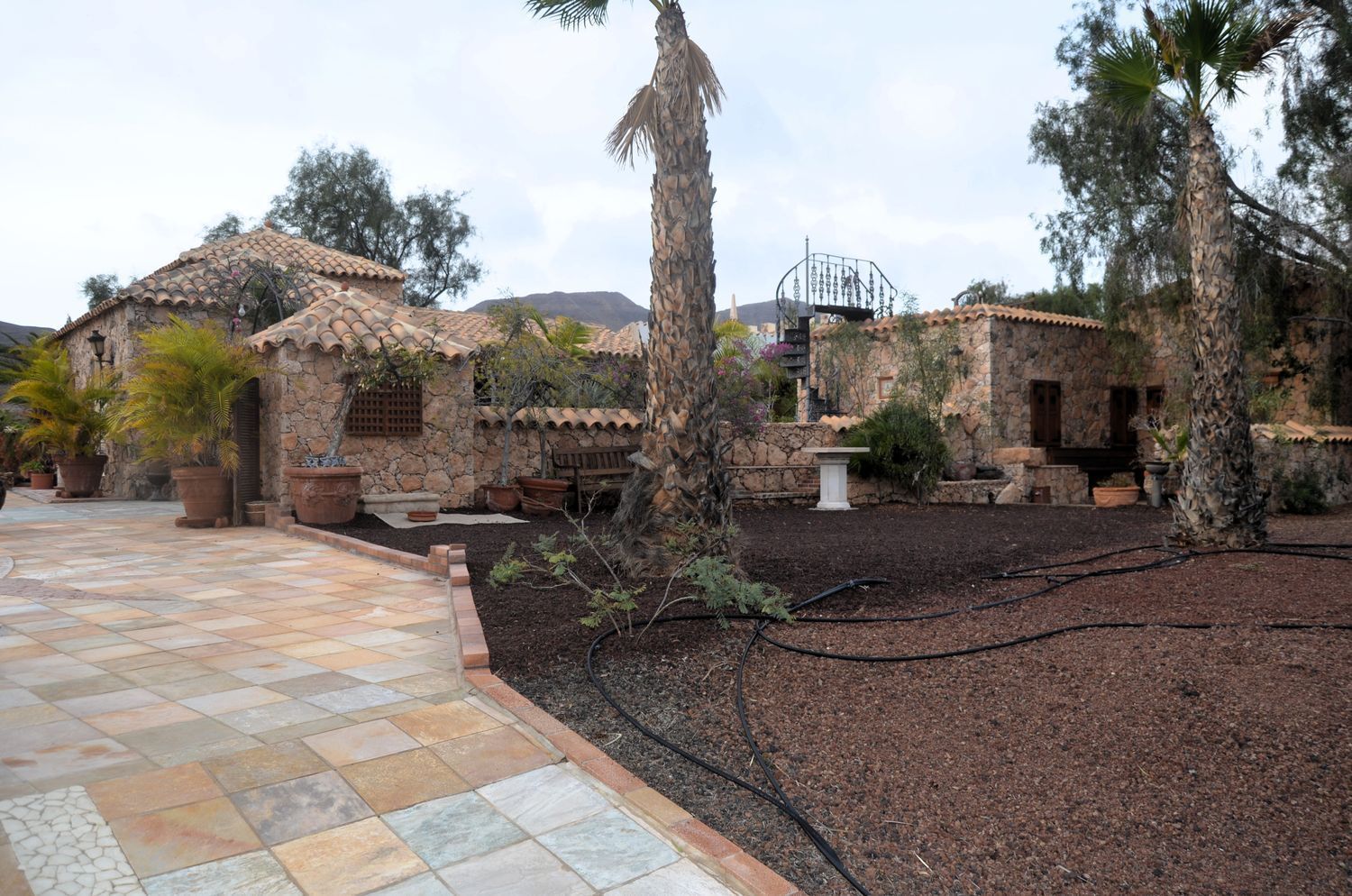 Casas o chalets-Venta-PÃ¡jara-2412608-Foto-22