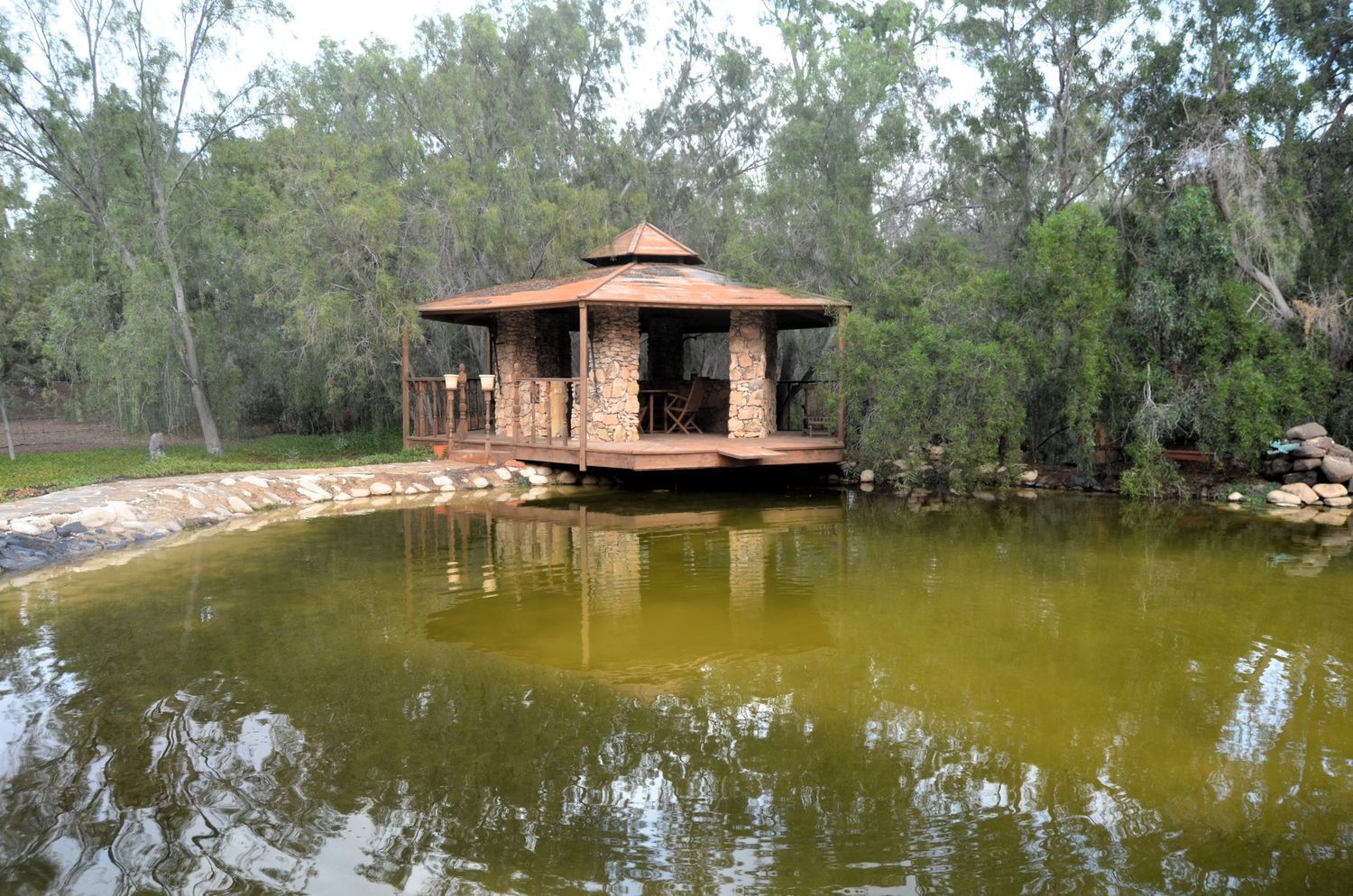 Casas o chalets-Venta-PÃ¡jara-2412608-Foto-38