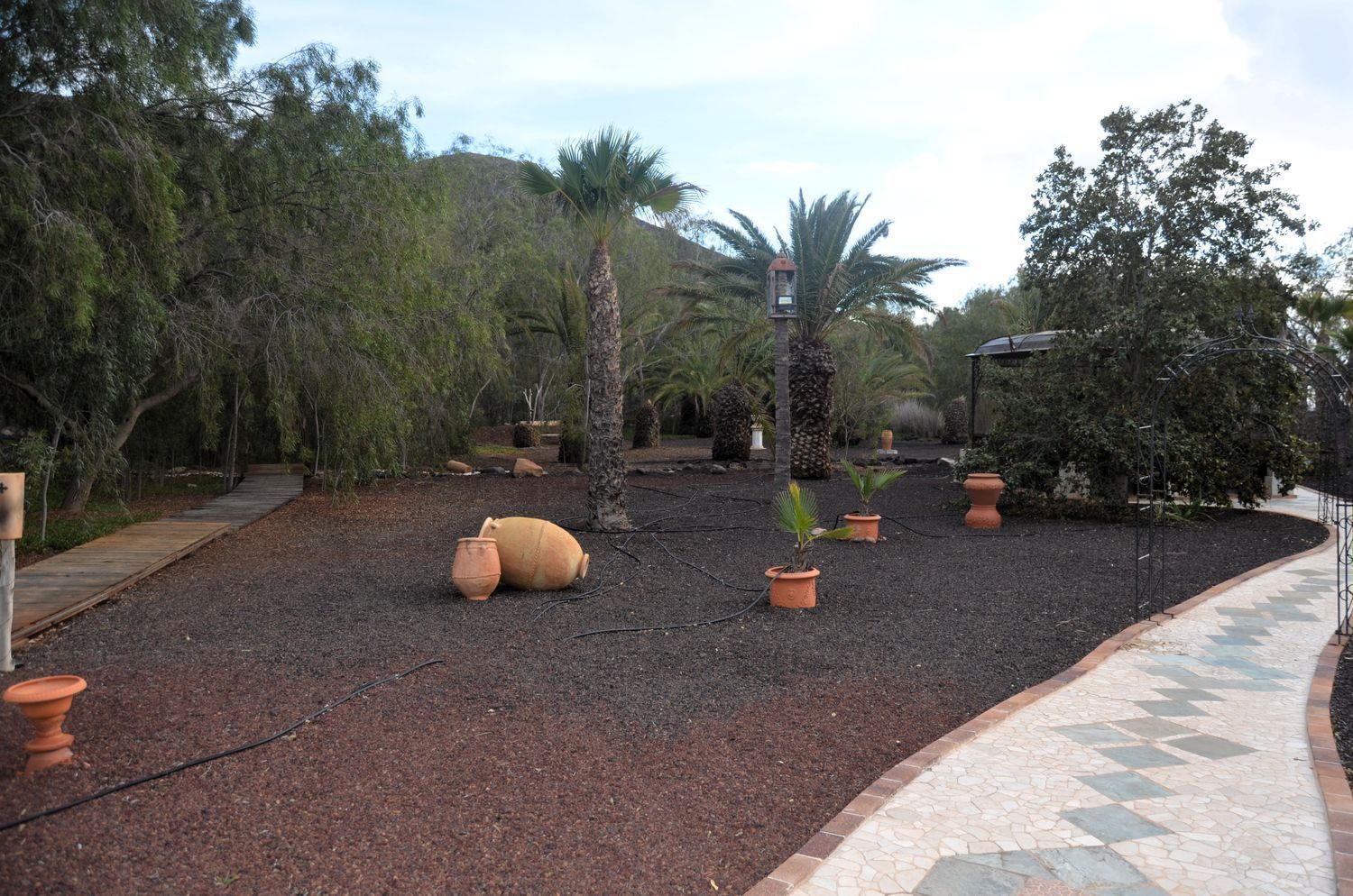 Casas o chalets-Venta-PÃ¡jara-2412608-Foto-45