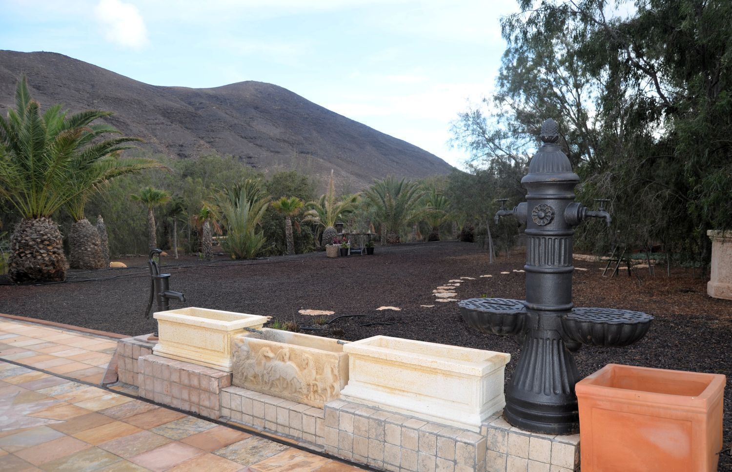 Casas o chalets-Venta-PÃ¡jara-2412608-Foto-46