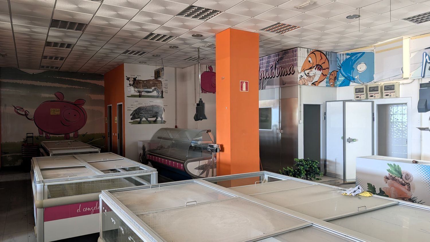 Edificios-Venta-PÃ¡jara-2412590-Foto-26