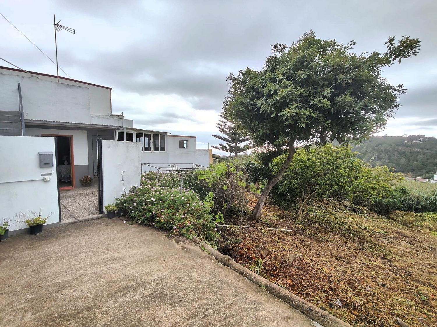 Pisos-Venta-Arucas-2412557-Foto-2