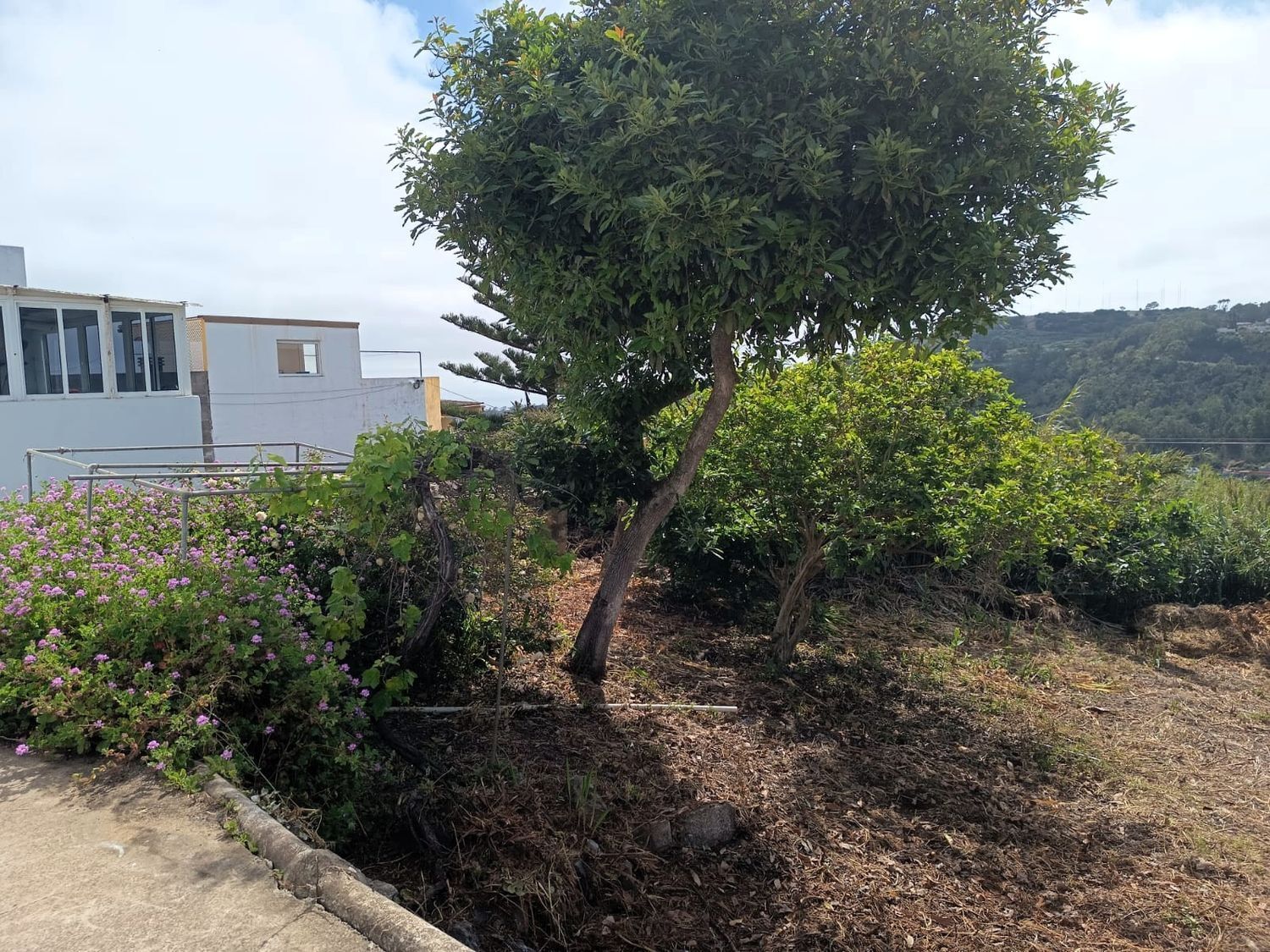 Pisos-Venta-Arucas-2412557-Foto-25