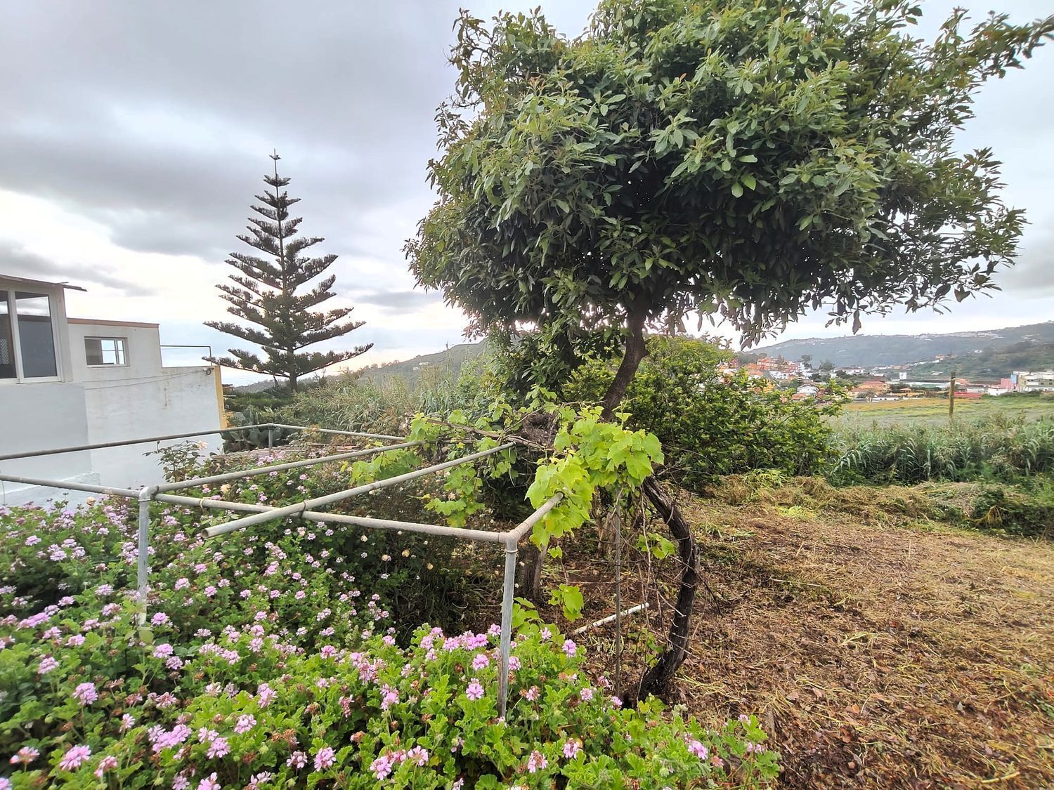 Pisos-Venta-Arucas-2412557-Foto-28