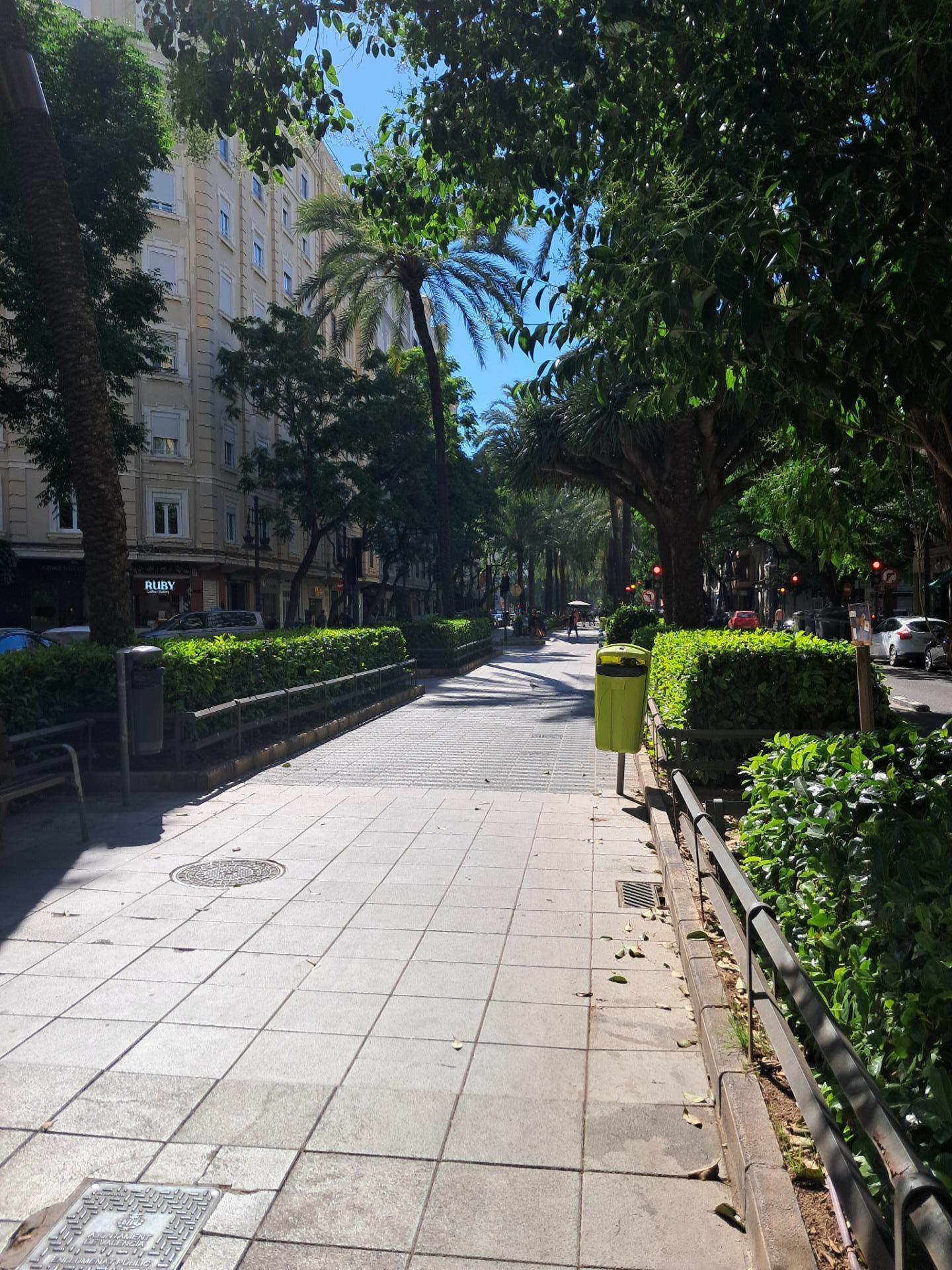 Pisos-Venta-Valencia-2412362-Foto-9