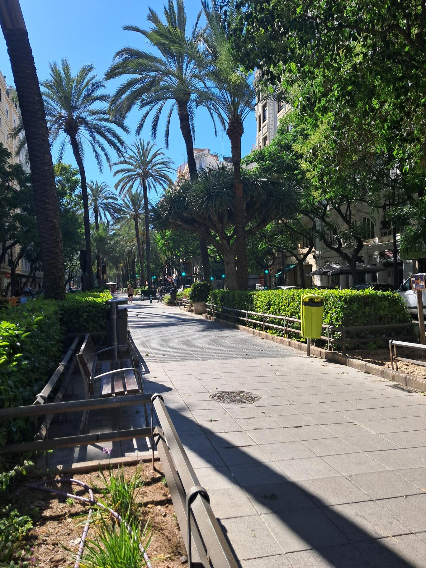 Pisos-Venta-Valencia-2412362-Foto-39