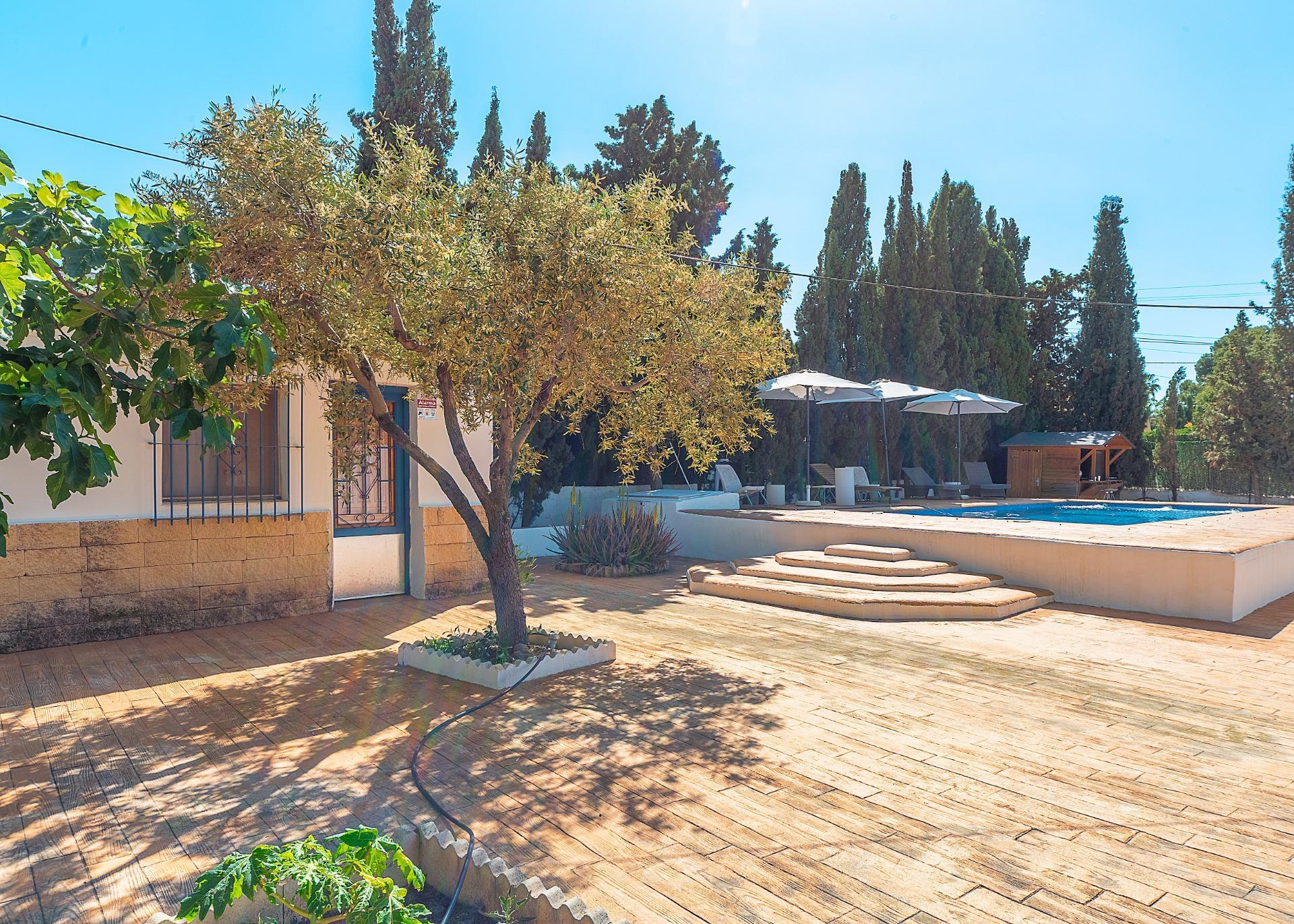 Casas o chalets-Venta-Alicante-2256099-Foto-19