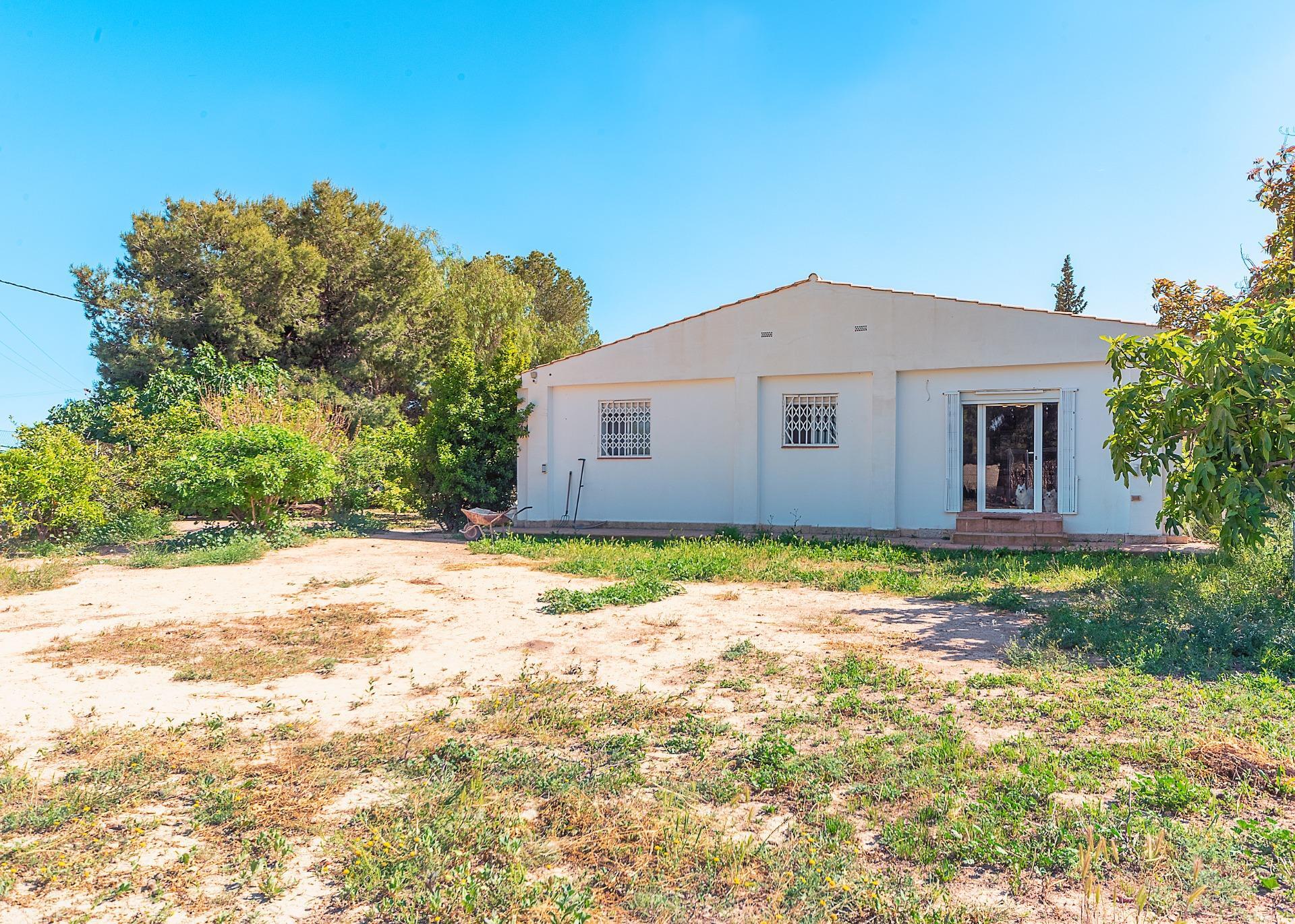 Casas o chalets-Venta-Alicante-2256099-Foto-25