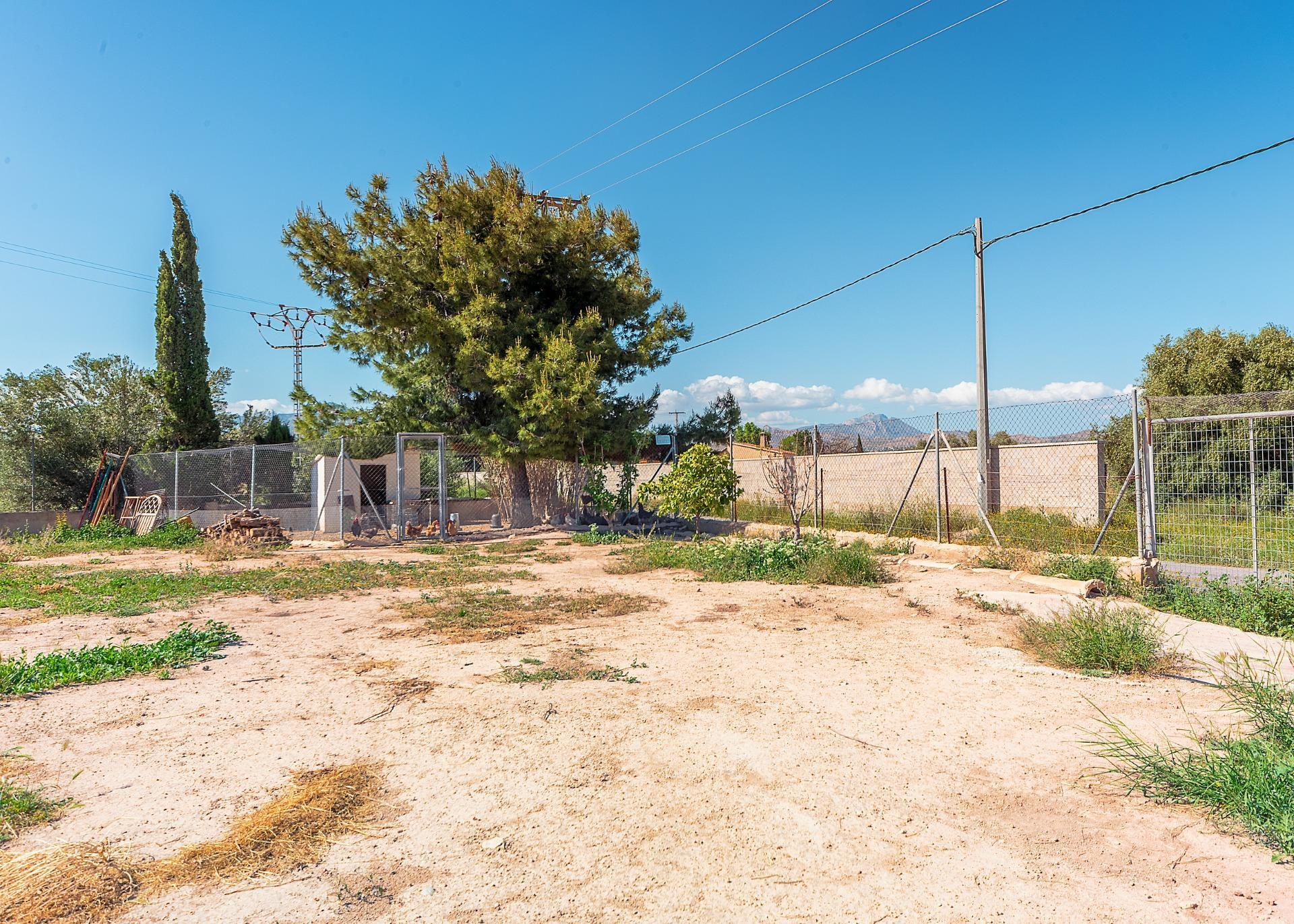 Casas o chalets-Venta-Alicante-2256099-Foto-26