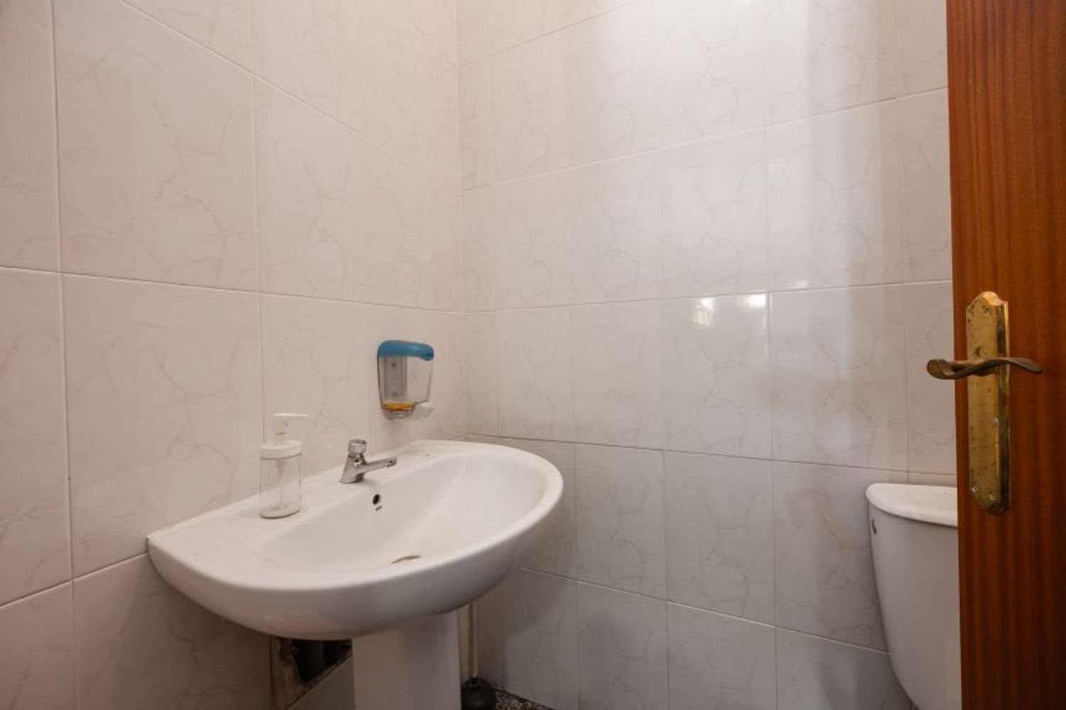 Negocios-Venta-San Fulgencio-2412392-Foto-6