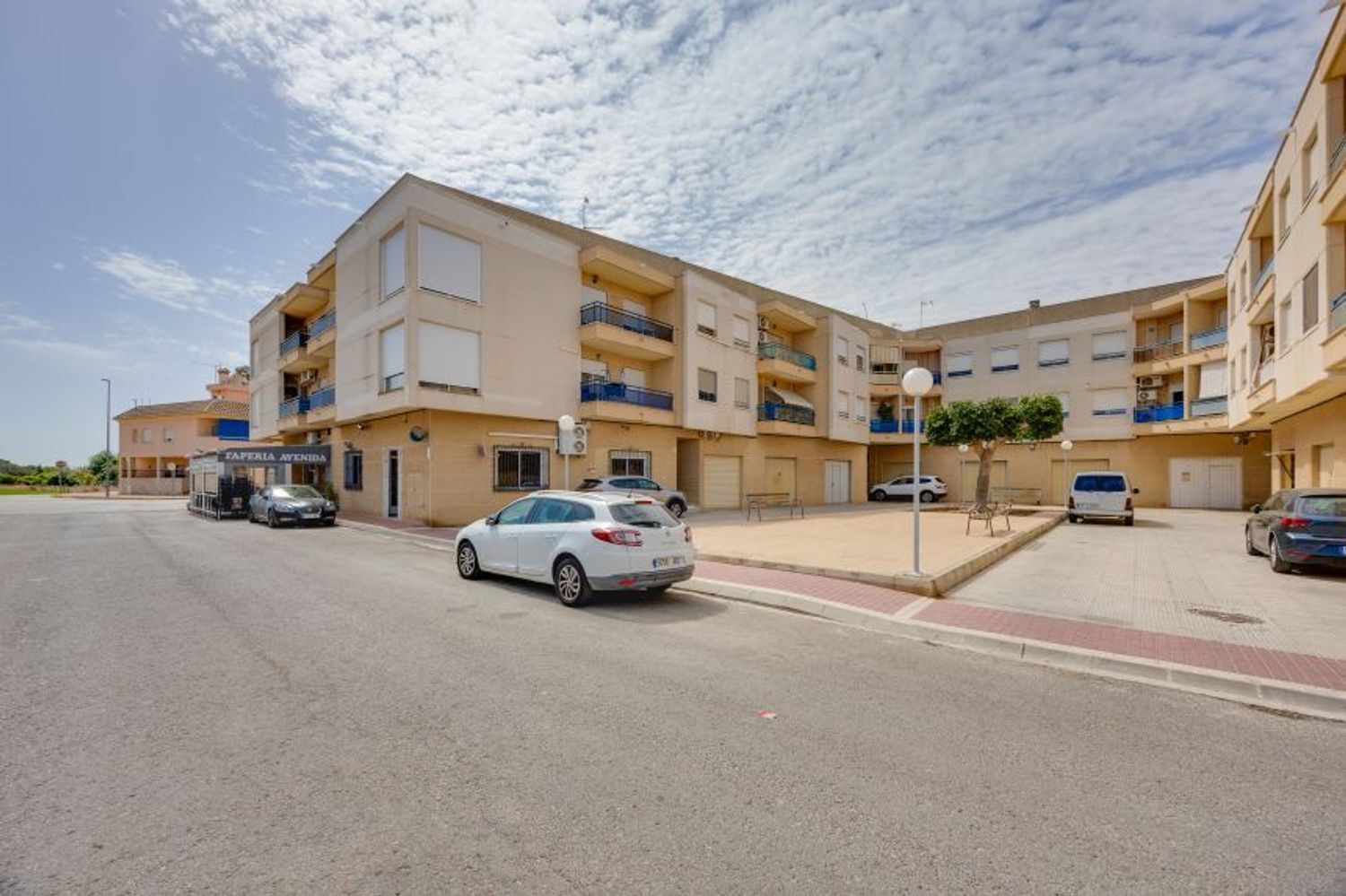 Negocios-Venta-San Fulgencio-2412392-Foto-17