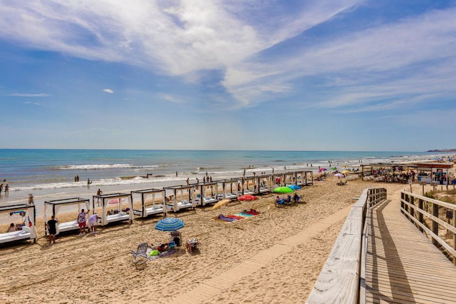 Negocios-Venta-San Fulgencio-2412392-Foto-32
