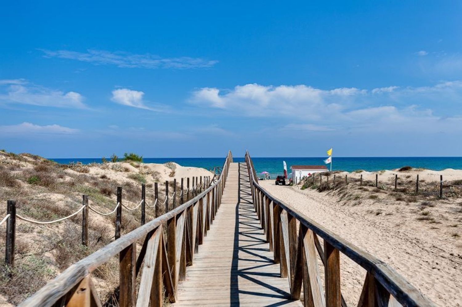 Negocios-Venta-San Fulgencio-2412392-Foto-31