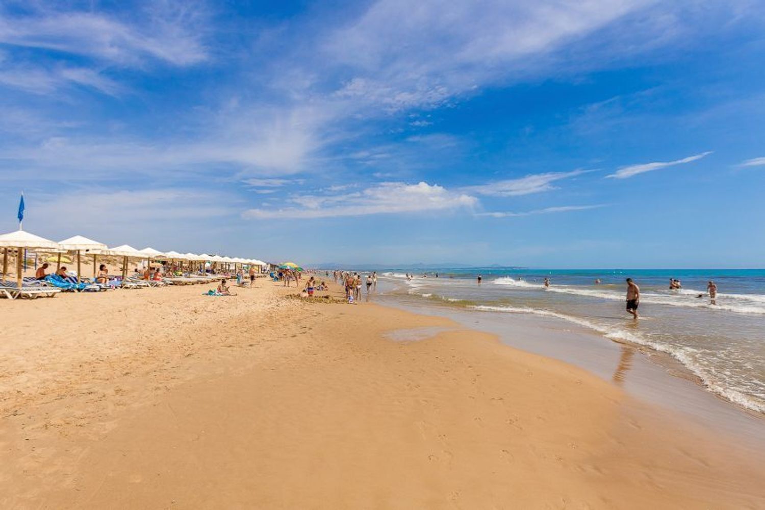 Negocios-Venta-San Fulgencio-2412392-Foto-37