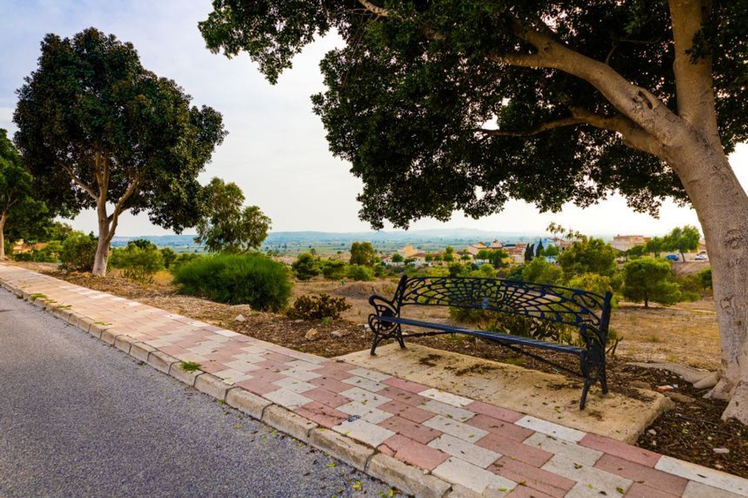Negocios-Venta-San Fulgencio-2412392-Foto-40