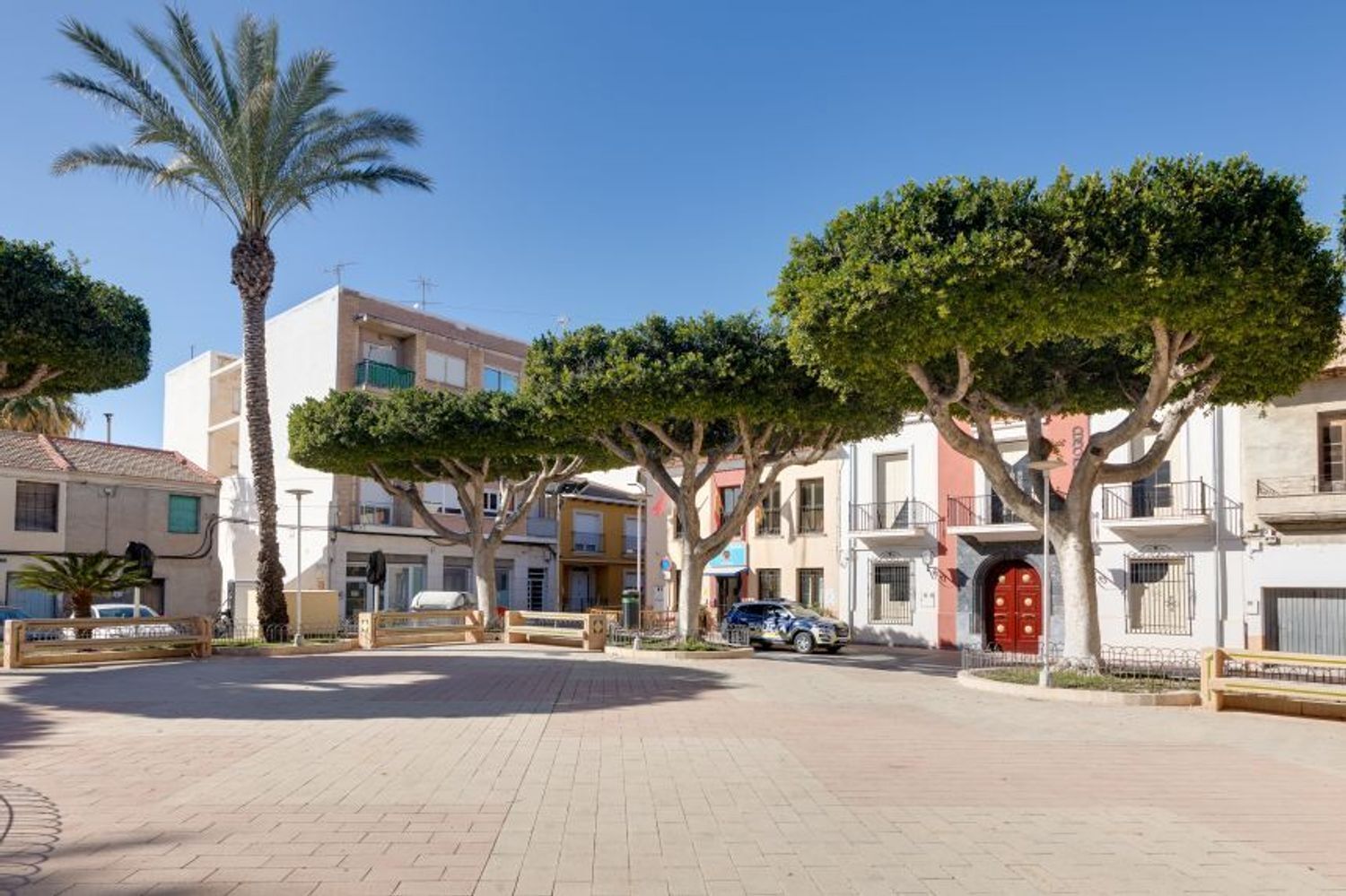 Negocios-Venta-San Fulgencio-2412392-Foto-43