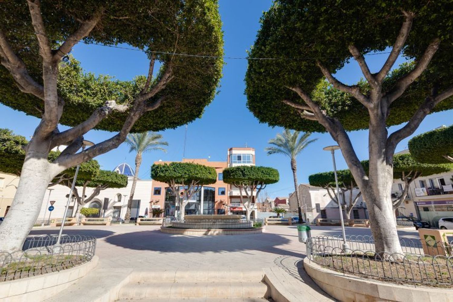 Negocios-Venta-San Fulgencio-2412392-Foto-44