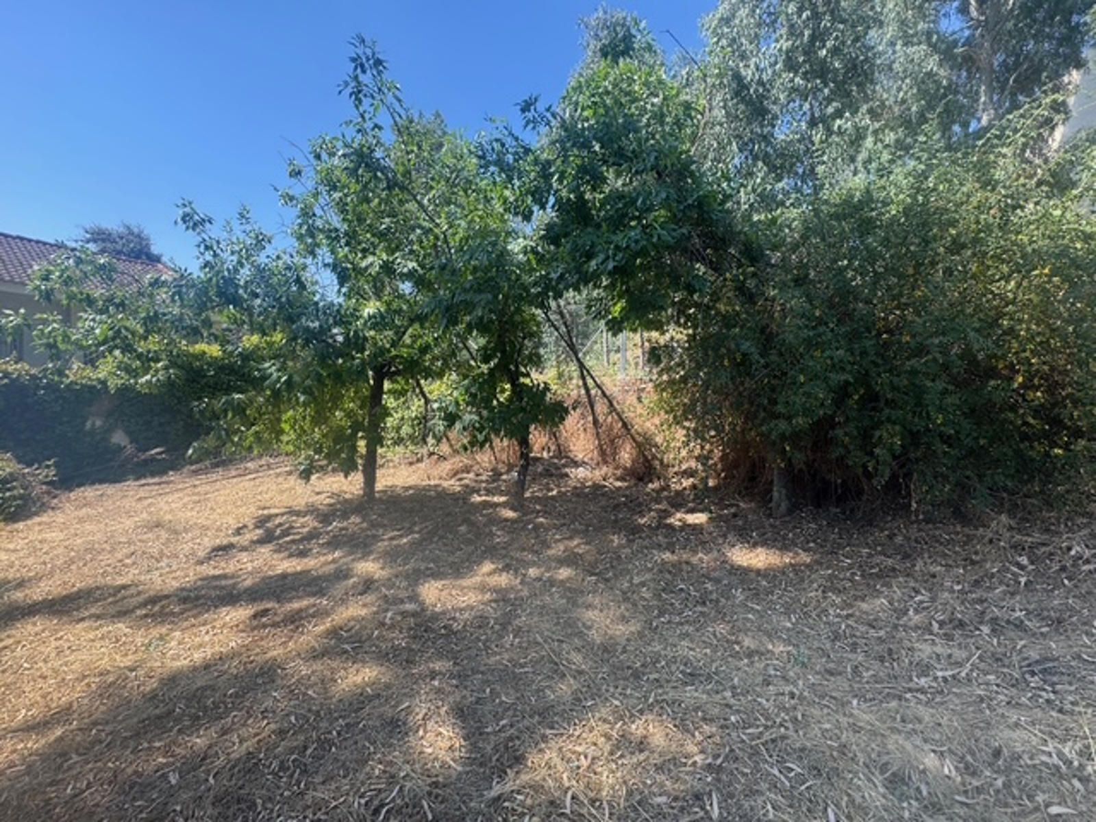 Fincas y solares-Venta-Las Rozas de Madrid-2412848-Foto-2