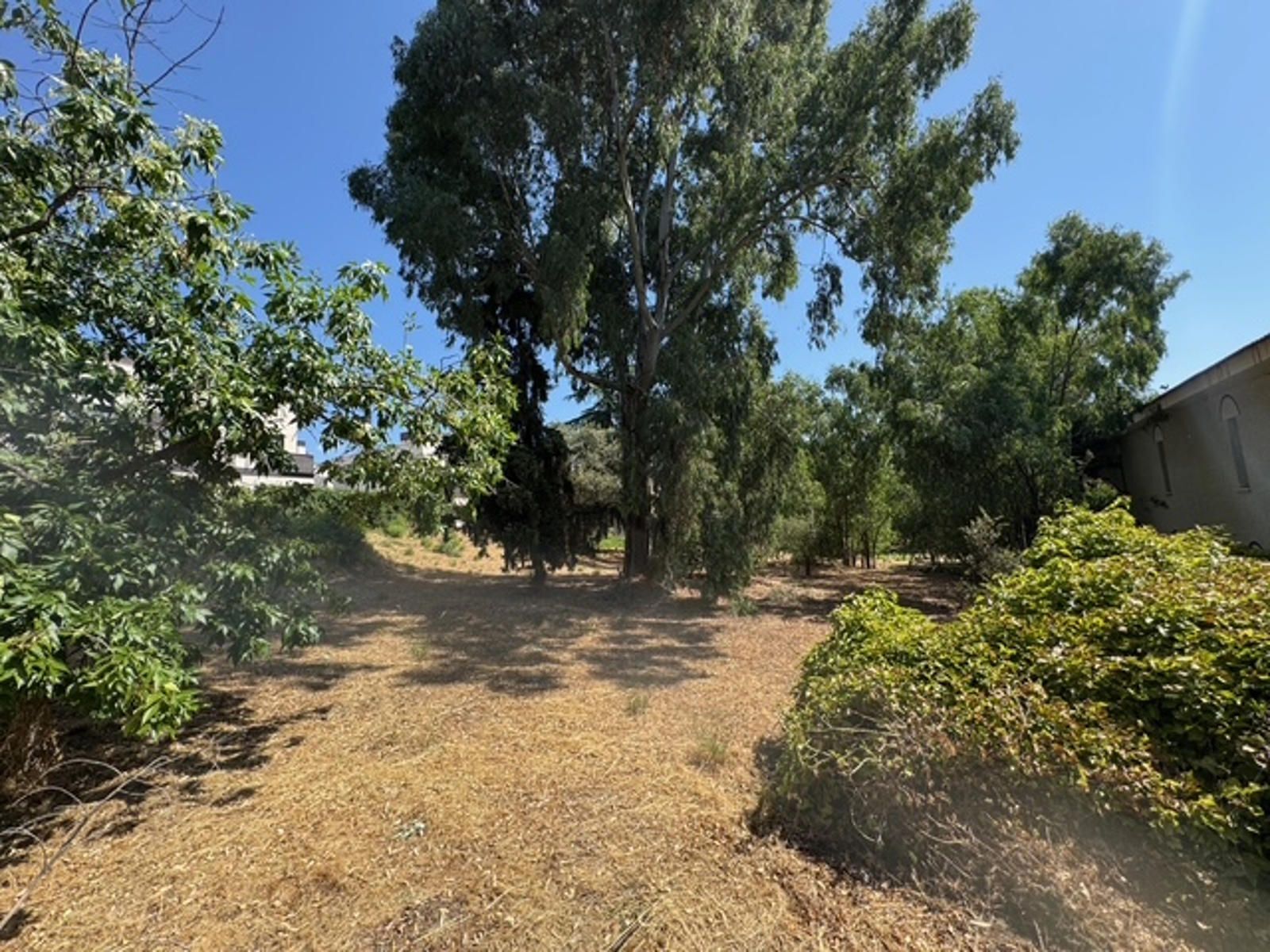 Fincas y solares-Venta-Las Rozas de Madrid-2412848-Foto-5