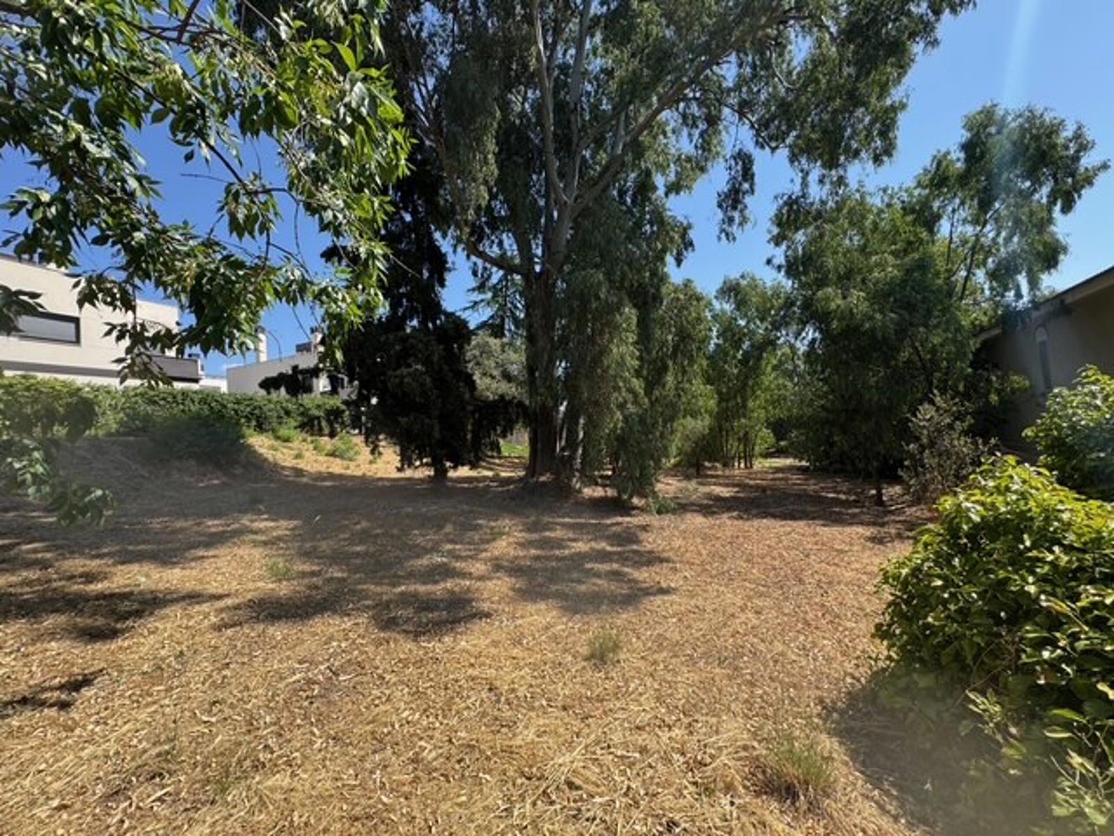 Fincas y solares-Venta-Las Rozas de Madrid-2412848-Foto-4