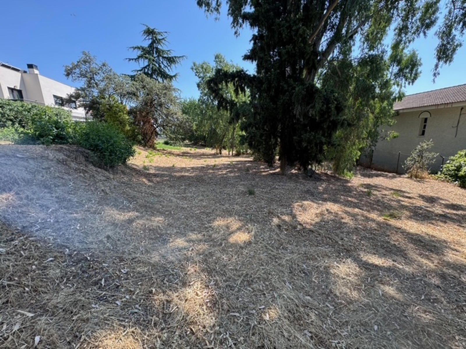 Fincas y solares-Venta-Las Rozas de Madrid-2412848-Foto-3