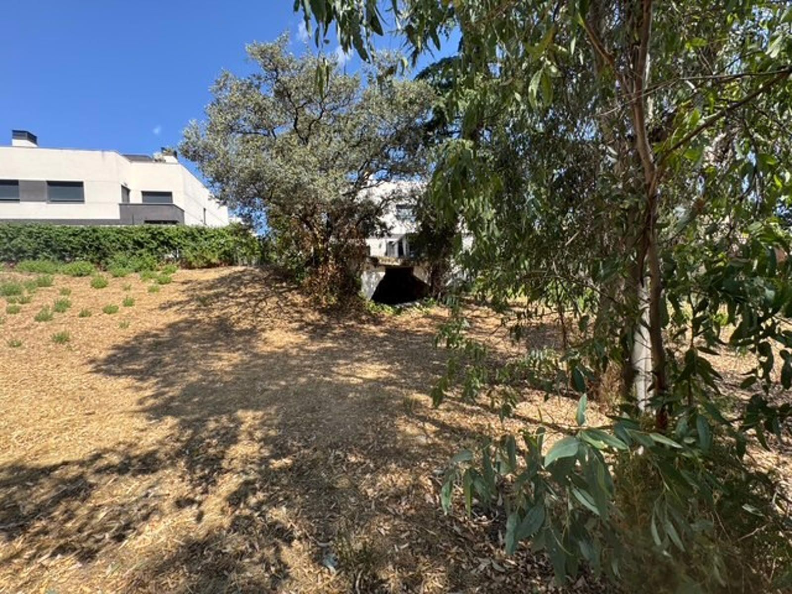 Fincas y solares-Venta-Las Rozas de Madrid-2412848-Foto-9