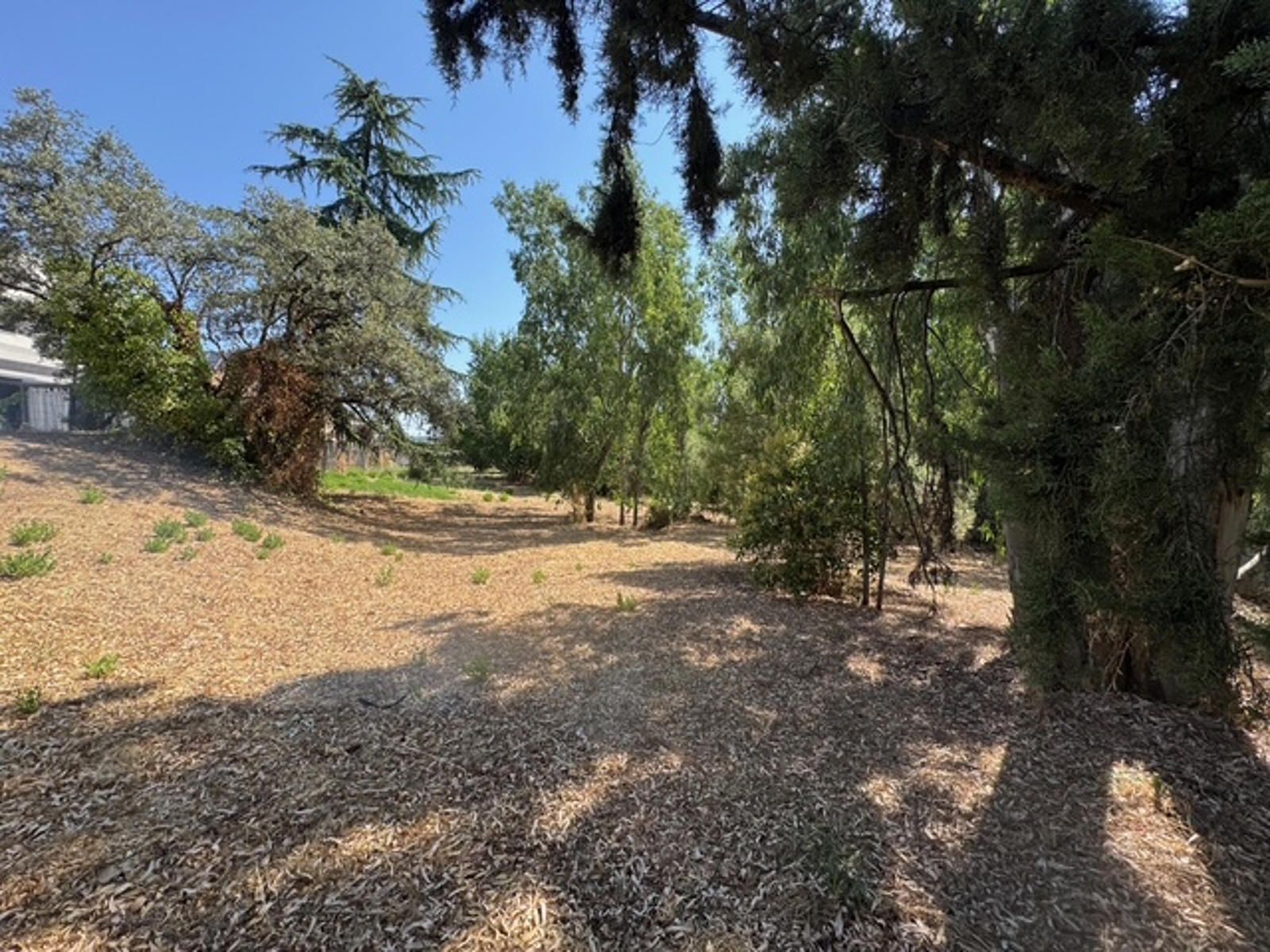 Fincas y solares-Venta-Las Rozas de Madrid-2412848-Foto-8